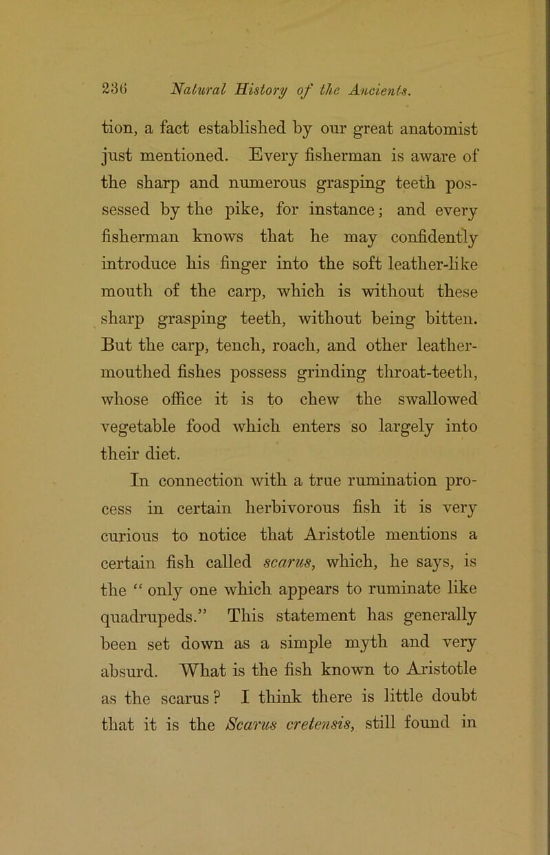 tion, a fact establislied by our great anatomist just mentioned. Every fisherman is aware of the sharp and numerous grasping teeth pos- sessed by the pike, for instance; and every fisherman knows that he may confidently introduce his finger into the soft leather-hke mouth of the carp, which is without these sharp grasping teeth, without being bitten. But the carp, tench, roach, and other leather- mouthed fishes possess grinding throat-teeth, whose office it is to chew the swallowed vegetable food which enters so largely into their diet. In connection with a true rumination pro- cess in certain herbivorous fish it is very curious to notice that Aristotle mentions a certain fish called scarus, which, he says, is the “ only one which appears to ruminate like quadrupeds.” This statement has generally been set down as a simple myth and very absurd. What is the fish known to Aristotle as the scarus ? I think there is little doubt that it is the Scancs cretensis, still found in