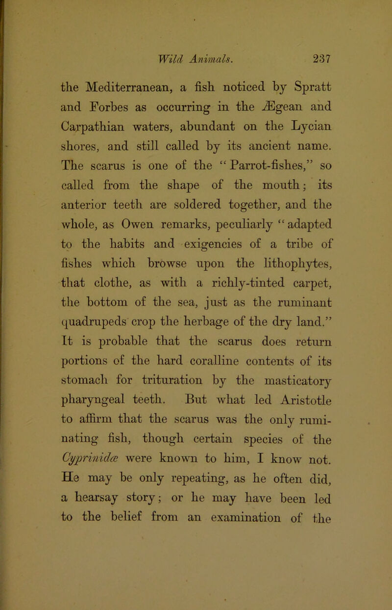 the Mediterranean, a fish noticed by Spratt and Forbes as occurring in the -^gean and Carpathian waters, abundant on the Lycian shores, and still called by its ancient name. The scams is one of the “ Parrot-fishes,” so called from the shape of the mouth; its anterior teeth are soldered together, and the whole, as Owen remarks, peculiarly “ adapted to the habits and exigencies of a tribe of fishes which browse upon the lithophytes, that clothe, as with a richly-tinted carpet, the bottom of the sea, just as the ruminant quadrupeds crop the herbage of the dry land.” It is probable that the scams does retium portions of the hard coralline contents of its stomach for trituration by the masticatory pharyngeal teeth. But what led Aristotle to affirm that the scarus was the only rumi- nating fish, though certain species of the Cyp'inidce were known to him, I know not. He may be only repeating, as he often did, a hearsay story; or he may have been led to the belief from an examination of the