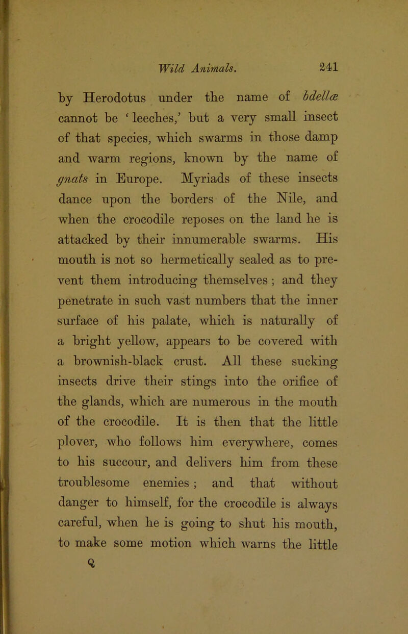 by Herodotus under the name of hdell<s cannot be ‘ leeches/ but a very small insect of that species, which swarms in those damp and warm regions, known by the name of gnats in Europe. Myriads of these insects dance upon the borders of the Nile, and when the crocodile reposes on the land he is attacked by their innumerable swarms. His mouth is not so hermetically sealed as to pre- vent them introducing themselves; and they penetrate in such vast numbers that the inner sm’face of his palate, which is naturally of a bright yellow, appears to be covered with a brownish-black crust. All these sucking insects drive their stings into the orifice of the glands, which are numerous in the mouth of the crocodile. It is then that the little plover, who follows him everywhere, comes to his succour, and delivers him from these troublesome enemies; and that without danger to himself, for the crocodile is always careful, when he is going to shut his mouth, to make some motion which warns the little