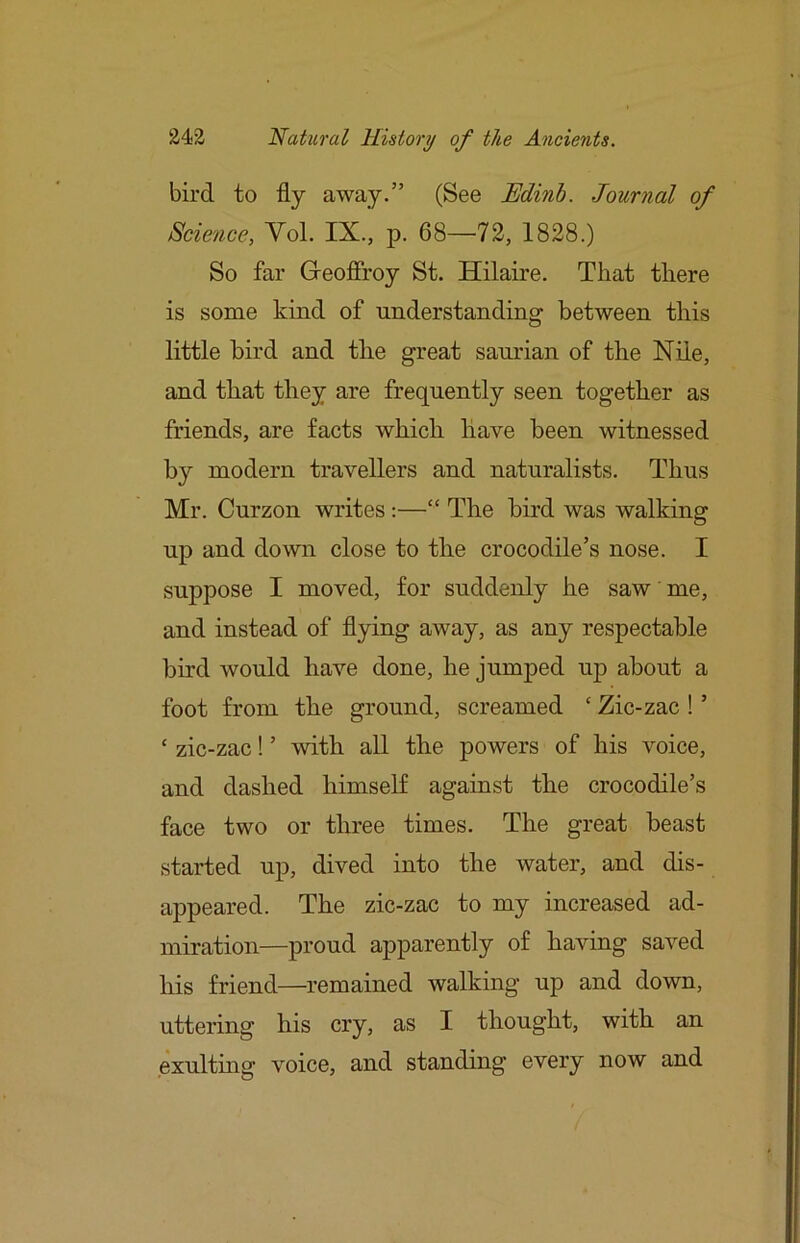 bird to fly away.” (See Edinb. Journal of Science, Yol. IX., p. 68—72, 1828.) So far Geofiroy St. Hilaire. That there is some kind of understanding between this little bird and the great saurian of the Nile, and that they are frequently seen together as friends, are facts which have been witnessed by modern travellers and naturalists. Thus Mr. Curzon writes :—“ The bird was walking up and down close to the crocodile’s nose. I suppose I moved, for suddenly he saw me, and instead of flying away, as any respectable bird would have done, he jumped up about a foot from the ground, screamed ‘ Zic-zac ! ’ ‘ zic-zac! ’ with all the powers of his voice, and dashed himself against the crocodile’s face two or three times. The great beast started up, dived into the water, and dis- appeared. The zic-zac to my increased ad- miration—proud apparently of having saved his friend—remained walking up and down, uttering his cry, as I thought, with an exulting voice, and standing every now and