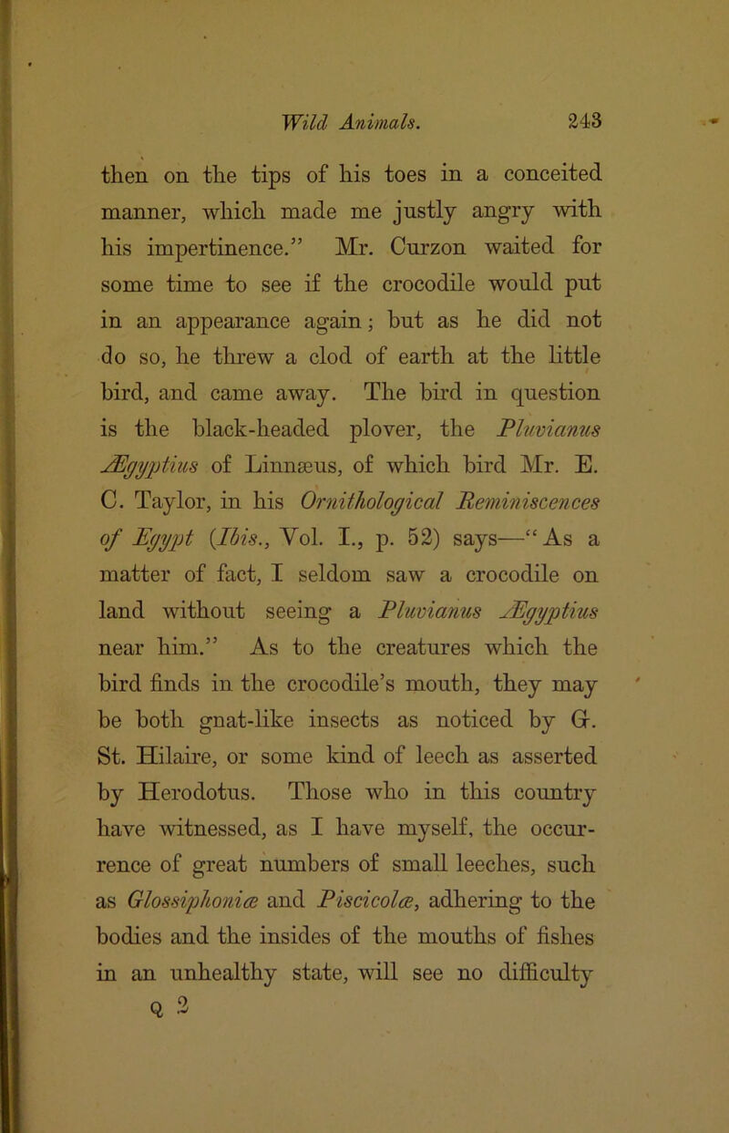 then on the tips of his toes in a conceited manner, which made me justly angry with his impertinence.” Mr. Cnrzon waited for some time to see if the crocodile would put in an appearance again; but as he did not do so, he threw a clod of earth at the little bird, and came away. The bird in question is the black-headed plover, the Pluvianus jPdgy2diiLS of Linna3us, of which bird Mr. E. C. Taylor, in his Ornithological Beminiscences of Egyjjt {Ibis.,\6\.. I., p. 52) says—“As a matter of fact, I seldom saw a crocodile on land without seeing a Pluvianus JEgyptius near him.” As to the creatures which the bird finds in the crocodile’s mouth, they may be both gnat-like insects as noticed by Gr. St. Hilaire, or some kind of leech as asserted by Herodotus. Those who in this country have witnessed, as I have myself, the occur- rence of great numbers of small leeches, such as Glossijjhonive and Piscicolve, adhering to the bodies and the insides of the mouths of fishes in an unhealthy state, will see no difficulty Q 3