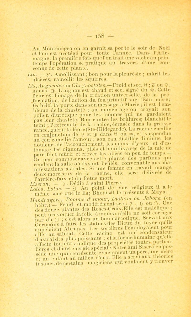 Au Monlénégi'o on eu ffarnit sa por te le soir de Noël et l’ou est pI■oté^^é pour toute ranriée. Dans l’Alle- magne, la première fois f{uel’on trait une vacliean i)rin- Icmps ropératioii se [M'atique au travers dmne eou- ronne de cette plante. Lin. — Zf. Amollissant; l)on |)our la pleurésie ; mûrit les ulcères, ramollit les squirrcs. Lis. Augoeides on CJirynoslate.s.— Froid et sec, y : Z, ou Ç, mieux 3. L’oignon est chaud et sec, signé du «.Cette llcur est l’image de la création universelle, de la pré- Jorination, de l'action, du feu primitif sur l’Eau mcrc; Gabriel la porte dans son message à Marie ; il est reiu- blcme de la chasteté ; au moyen âge 0:1 croyait son pollen diuréti(iue pour les femmes (fui ne gardaient pas leur chasteté. Bon contre les brûlures; blanchit le teint ; l’extrémité de la racine, écrasée dans la graisse rance, guérit la lcprc(Ste-lIildegarde). La racine.cueillie eu conjoiiclion de 9 et 3 dans y ou —. et suspendue au cou concilie l’amour ; son eau distillée diminue les douleurs de '’accoucheuient, les maux d’yeux et d’es- tomac; les oignons, pilés c t bouillis avec de la mie de pain font mûrir et crever les abcès en peu de temps.-— (Jn i)eut couiposeravec cette plante des parfums rjui rendent 1a salle où ils sont brûlés, convenable aux ma- nifestations astrales. Si une femme en travail inange deux morceaux de la racine, elle sera délivrée de l’arricre-faix et du fa'lus mort. Liseron. — ç . Dédié à saint Pierre. Laios, Lotus. — ©. Au point de vue religieux il a le meme sens que le lis ; Bhodisàt le présenté a Maya. Mandrao'ore, Pomme d’amour. Diidnïm ou Jahora (en hébr.f'— Froid et modérément sec ; N> ; ï> Çl.- dos douze pUintos dos Itosos-Croix.Ejlle est uiUKiu(Ui. , peut provo(|Ucr la folie à moins qu’elle ne soit corriger par du O ; c’est alors un bon narcotique. Servait aux Germains à faire les statues des Dieux du loyer ([uils appelaient Abriines. Les sorcières remployaient pour aller au sablial. Cette racine est un condensateur (l’astral des plus puissants ; et la forme humaine qu cite all'ecte toujours indii[ue des propriétés toutes, partieu- lières et d’une énergie spéciale.Notre ami Sisera en pos- sède une (fui représente exactement un pere.une iiu;re et un enfant au milieu d’eux. Elle a servi aux théories iusanes de certains magiciens qui voulaient y trmn er