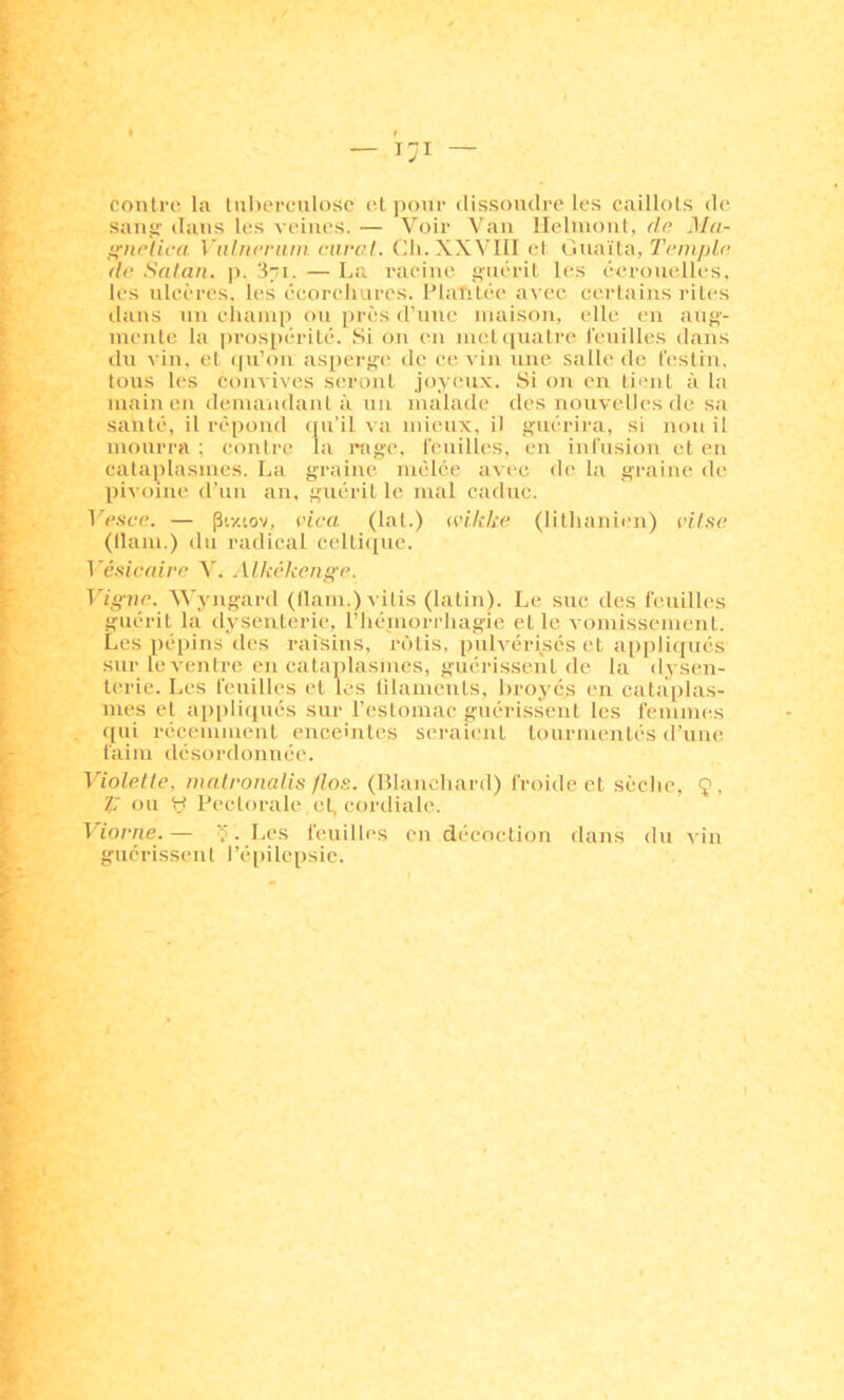contre la liil)erculosc et pour dissoudre les caillots de saiifr dans les veines. — Voir Van llclinont, de Ma- irneiica Viiliieniin carat. Cli. XXVIII et Guaïta, rcm/j/c' de .'<atan. p. 371. — La racine guérit les éeroiielles, les ulcères, les ceorcluires. Flalitéc avec certains rites dans un champ on près d’une maison, elle en aug- mente la prospérité. Si on en metfiuatre feuilles dans du vin. et (ju’on aspcT'ge de ce vin une salle de festin, tous les convives seront joyeux. Si on en tient à la main en demandant à un malade des nouvelles de sa santé, il ré[)ond qn’il va mieux, il guérira, si non il mourra ; contre la mge, feuilles, en infusion et en cataplasmes. La graine mêlée avec de la graine de pivoine d’un an. guérit le mal caduc. Vesce. — pe/.iov, rica. (lat.) wikke (litlianien) vitse (llam.) du radical cclti<tuc. Vésicedre V. Alkékcnge. Mgne. Wyngard (flam.)vilis (latin). Le suc des feuilles guérit là dysenterie, riiémorrhagie et le vomissement. Les pépins'des raisins, rôtis, pulvérises et appliqués sur le ventre en cataplasmes, guérissent de la dysen- terie. Les feuilles et les lilaments, broyés en cataplas- mes et appliqués sur l’estomac guérissent les femmes f|ui récemuient enceintes seraient tourmentés d’une faim désordonnée. Violette, matronalis flos. (Blanchard) froide et sèche, Ç, Z; ou H Pectorale , et, cordiale. Viorne.— 5. Les feuilles en dé'coction dans du vin guérissent l’é[)ilcpsie.