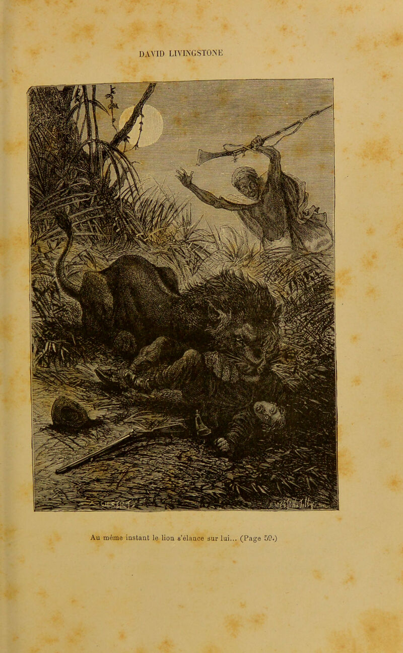 DAVID LIVINGSTONE Au même instant le lion s’élance sur lui... (Page 50.)