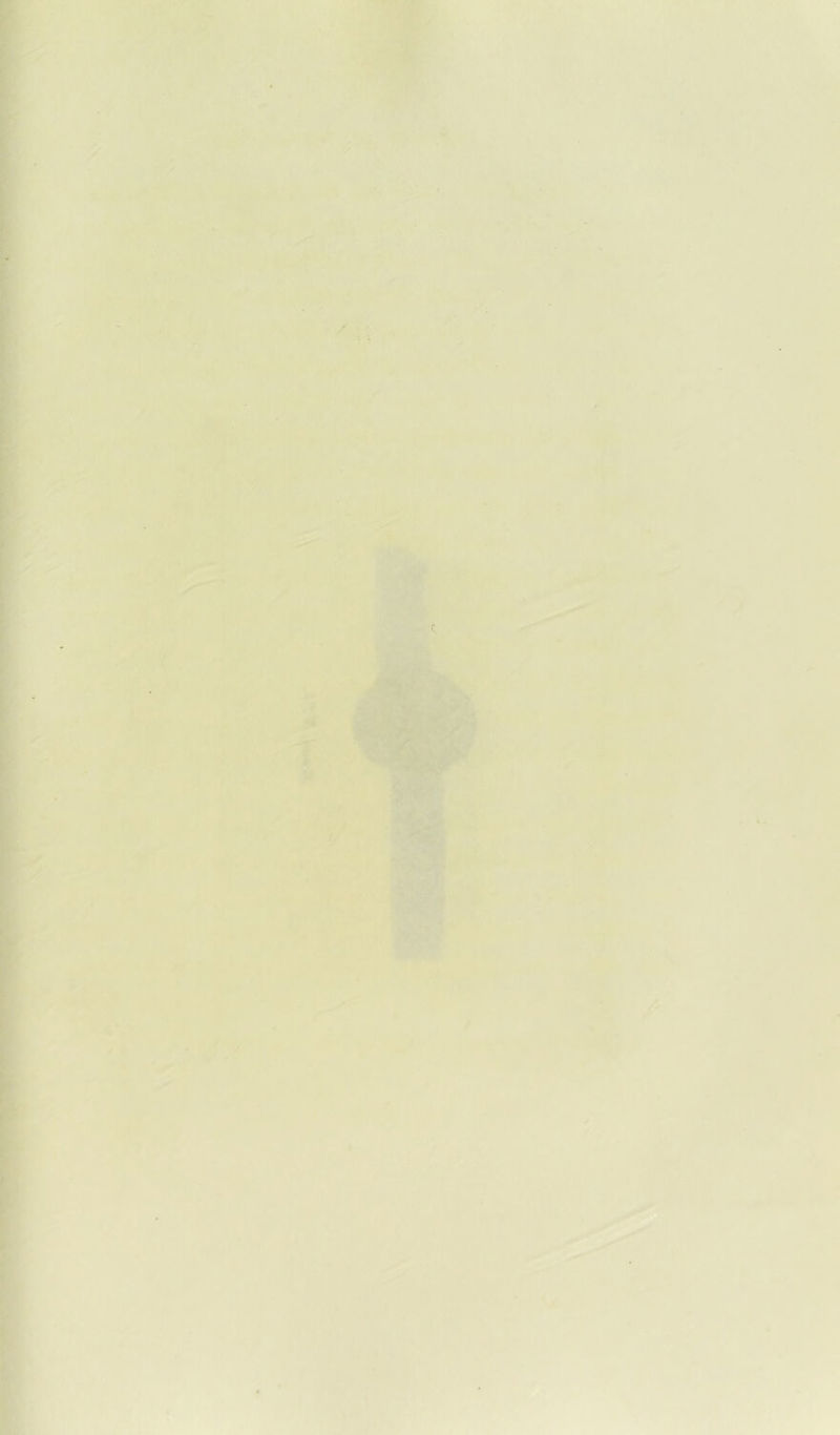 ü'- -mm • y ' ■ ' ' s • ■' ^ \ V tXî- -•■ •4.?' • ‘ '■ ■ î^.T ■ WTr •■ •jii'it''-' ■'•'■> i. . . cm^y^, ■■ \f..  <!?.■■•’• ;i ■ '^H-v ••>' - •• r^T ‘