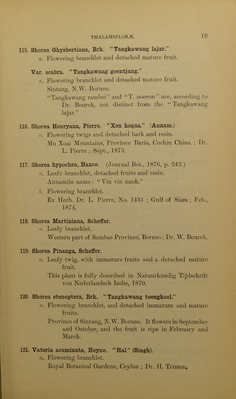 115. Shorea Ghysbertiana, Brk. “Tangkawang lajar.” a. Flowering branchlet and detached mature fruit. Var. scabra. “Tangkawang goentjang.” a. Flowering branchlet and detached mature fruit. Sintang, N.W. Borneo. “Tangkawang rambei” and “T. noeron” are, according to Dr. Bourck, not distinct from the “ Tangkawang lajar.” 116. Shorea Henryana, Pierre. “Xen hoqua.” (Annam.) a. Flowering twigs and detached bark and resin. Mu Xoai Mountains, Province Baria, Cochin China.; Dr. L. Pierre ; Sept., 1875. 117. Shorea hypochra, Hance. (Journal Bot., 1876, p. 242.) a. Leafy branchlet, detached fruits and resin. Annamite name : “Yin vin xanh.” b. Flowering branchlet. Ex Herb. Dr. L. Pierre, No. 1451 ; Gulf of Siam; Feb., 1874. 118. Shorea Martiniana, Scheffer. a. Leafy branchlet. Western part of Sambas Province, Borneo; Dr. W. Bourck. 119. Shorea Pinanga, Scheffer. a. Leafy twig, with immature fruits and a detached mature fruit. This plant is fully described in Natuurkundig Tijdschrift von Nederlanclsch Indie, 1870. 120. Shorea stenoptera, Brk. “Tangkawang toengkoel.” a. Flowering branchlet, and detached immature and mature fruits. Province of Sintang, NAY. Borneo. It flowers in September and October, and the fruit is ripe in February and March. 121. Vateria acuminata, Heyne. “Hal” (Singh). a. Flowering branchlet. Royal Botanical Gardens, Ceylon; Dr. H. Trimen.