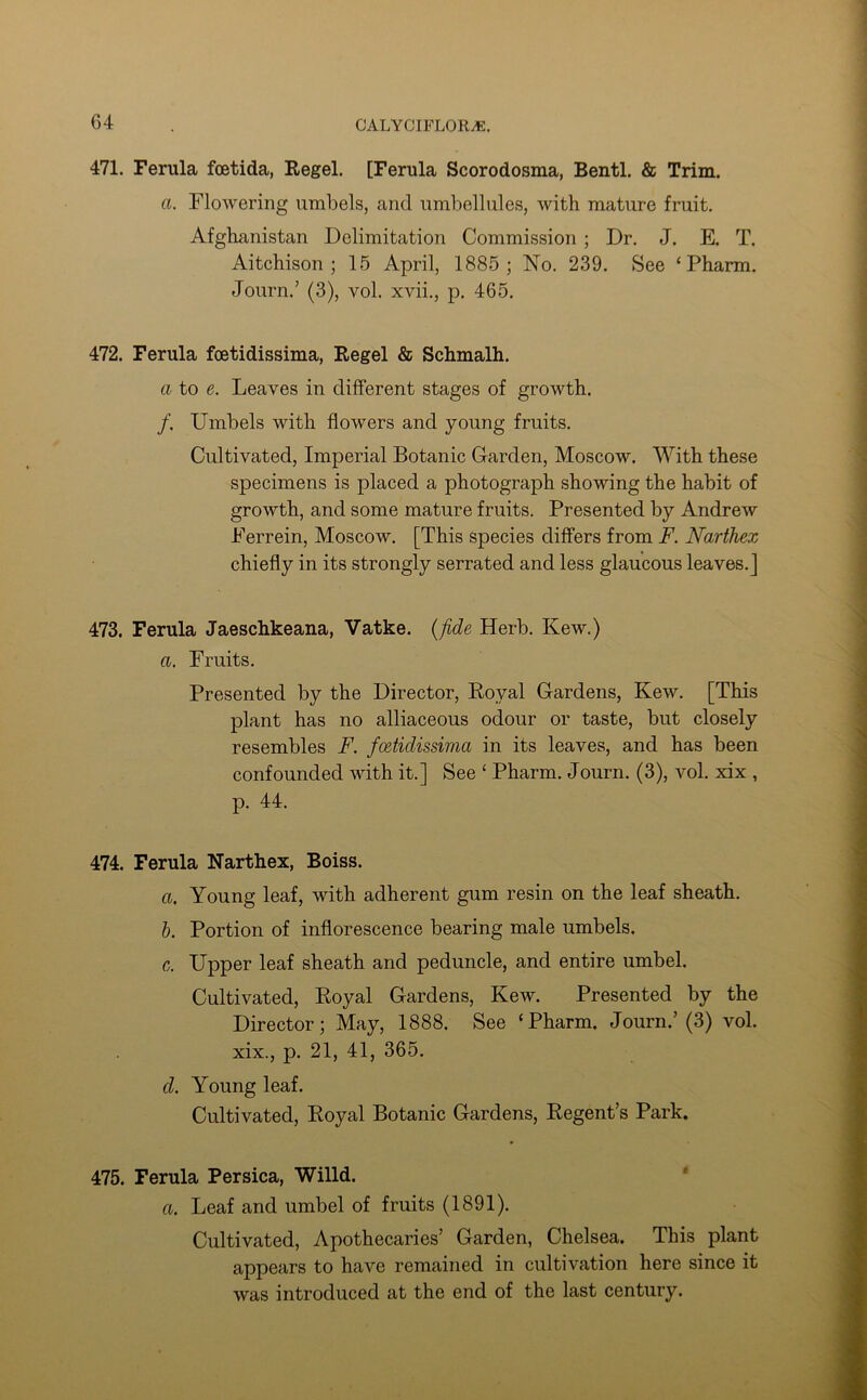 471. Ferula fcetida, Regel. [Ferula Scorodosma, Bentl. & Trim. a. Flowering umbels, and umbellules, with mature fruit. Afghanistan Delimitation Commission ; Dr. J. E. T. Aitchison ; 15 April, 1885; No. 239. See ‘ Pharm. Journ.’ (3), vol. xvii., p. 465. 472. Ferula foetidissima, Regel & Schmalh. a to e. Leaves in different stages of growth. /. Umbels with flowers and young fruits. Cultivated, Imperial Botanic Garden, Moscow. With these specimens is placed a photograph showing the habit of growth, and some mature fruits. Presented by Andrew Ferrein, Moscow. [This species differs from F. Narthex chiefly in its strongly serrated and less glaucous leaves.] 473. Ferula Jaeschkeana, Vatke. (fide Herb. Kew.) a. Fruits. Presented by the Director, Royal Gardens, Kew. [This plant has no alliaceous odour or taste, but closely resembles F. foetidissima in its leaves, and has been confounded with it.] See ‘ Pharm. Journ. (3), vol. xix , p. 44. 474. Ferula Narthex, Boiss. a. Young leaf, with adherent gum resin on the leaf sheath. b. Portion of inflorescence bearing male umbels. c. Upper leaf sheath and peduncle, and entire umbel. Cultivated, Royal Gardens, Kew. Presented by the Director; May, 1888. See ‘Pharm. Journ.’ (3) vol. xix., p. 21, 41, 365. d. Young leaf. Cultivated, Royal Botanic Gardens, Regent’s Park. 475. Ferula Persica, Willd. a. Leaf and umbel of fruits (1891). Cultivated, Apothecaries’ Garden, Chelsea. This plant appears to have remained in cultivation here since it was introduced at the end of the last century.