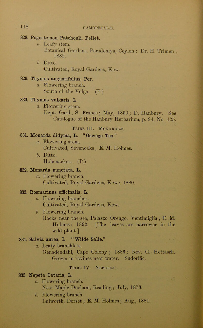 828. Pogostemon Patchouli, Pellet. a. Leafy stem. Botanical Gardens, Peradeniya, Ceylon ; Dr. H. Trimen ; 1882. b. Ditto. ■Cultivated, Royal Gardens, Kew. 829. Thymus angustifolius, Per. a. Flowering branch. South of the Volga. (P.) 830. Thymus vulgaris, L. a. Flowering stem. Dept. Gard., S. France; May, 1850; D. Hanbury. See Catalogue of the Hanbury Herbarium, p. 94, No. 425. Tribe III. Monardee. 831. Monarda didyma, L. “Oswego Tea.” a. Flowering stem. Cultivated, Sevenoaks; E. M. Holmes. b. Ditto. Hohenacker. (P.) 832. Monarda punctata, L. a. Flowering branch. Cultivated, Royal Gardens, Kew; 1880. 833. Rosmarinus officinalis, L. a. Flowering branches. Cultivated, Royal Gardens, Kew. b Flowering branch. Rocks near the sea, Palazzo Orengo, Ventimiglia; E. M. Holmes; 1892. [The leaves are narrower in the wild plant.] 834. Salvia aurea, L. “Wilde Salie.” a. Leafy branchlets. Genadendahl, Cape Colony; 1886; Rev. G. Hettascli. Grown in ravines near water. Sudorific. Tribe IV. Nepetee. ■835. Nepeta Cataria, L. a. Flowering branch. Near Maple Durham, Reading; July, 1873. b. Flowering branch. Lulworth, Dorset; E. M. Holmes; Aug., 1881.
