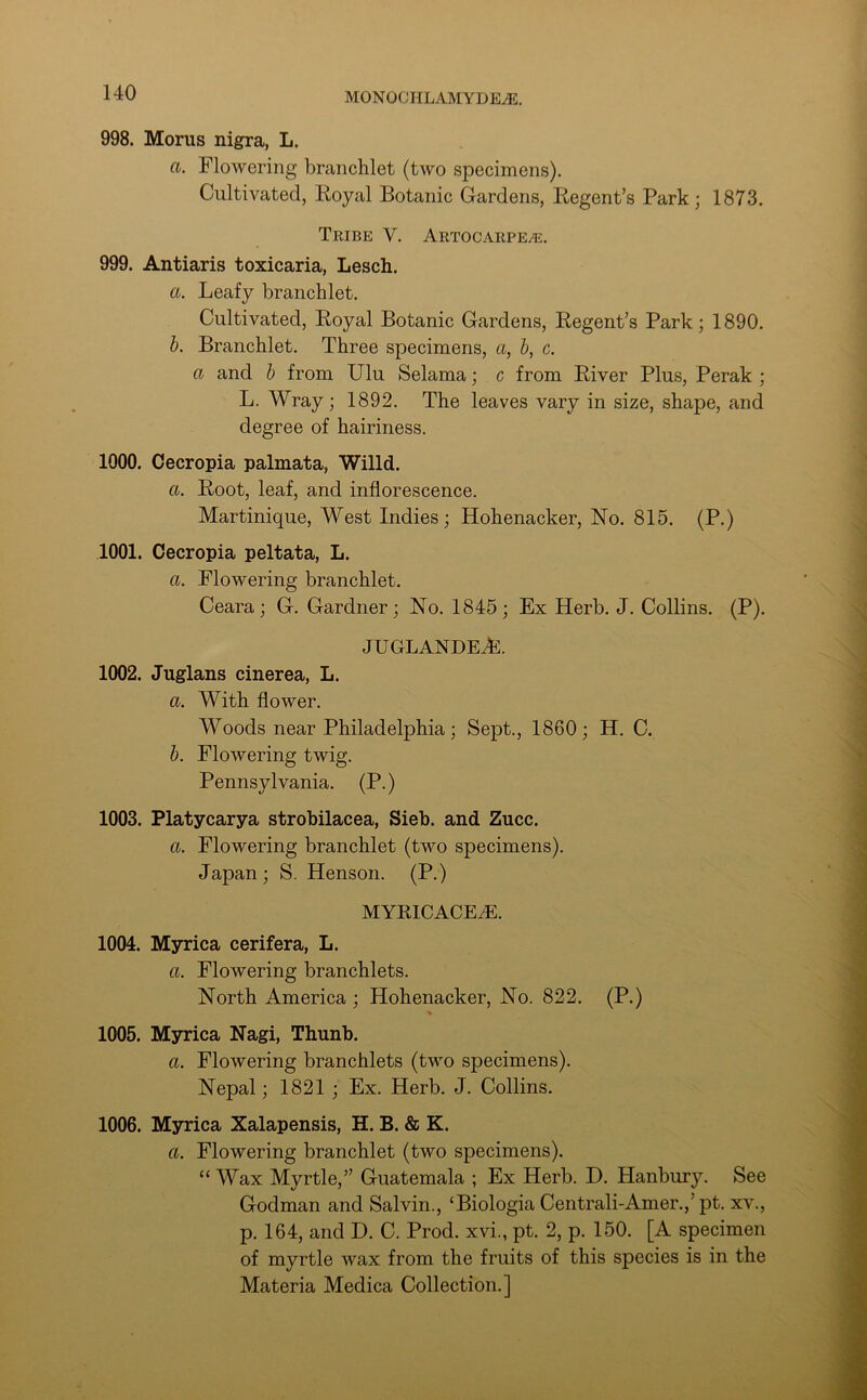 998. Morus nigra, L. a. Flowering branchlet (two specimens). Cultivated, Royal Botanic Cardens, Regent’s Park; 1873. Tribe V. Artocarpe^e. 999. Antiaris toxicaria, Lesch. a. Leafy branchlet. Cultivated, Royal Botanic Gardens, Regent’s Park; 1890. b. Branchlet. Three specimens, a, b, c. a and b from Ulu Selama; c from River Plus, Perak ; L. Wray ; 1892. The leaves vary in size, shape, and degree of hairiness. 1000. Cecropia palmata, Willd. a. Root, leaf, and inflorescence. Martinique, West Indies; Hohenacker, No. 815. (P.) 1001. Cecropia peltata, L. a. Flowering branchlet. Ceara; G. Gardner; No. 1845; Ex Herb. J. Collins. (P). juglandeJe. 1002. Juglans cinerea, L. a. With flower. Woods near Philadelphia; Sept., 1860; H. C. b. Flowering twig. Pennsylvania. (P.) 1003. Platycarya strobilacea, Sieb. and Zucc. a. Flowering branchlet (two specimens). Japan; S. Henson. (P.) MYRICACEiE. 1004. Myrica cerifera, L. a. FloAvering branchlets. North America ; Hohenacker, No. 822. (P.) 1005. Myrica Nagi, Thunb. a. Flowering branchlets (two specimens). Nepal; 1821 ; Ex. Herb. J. Collins. 1006. Myrica Xalapensis, H. B. & K. a. Flowering branchlet (two specimens). “ Wax Myrtle,” Guatemala ; Ex Herb. D. Hanbury. See Godman and Salvin., ‘Biologia Centrali-Amer.,’pt. xv., p. 164, and D. C. Prod, xvi., pt. 2, p. 150. [A specimen of myrtle wax from the fruits of this species is in the Materia Medica Collection.]