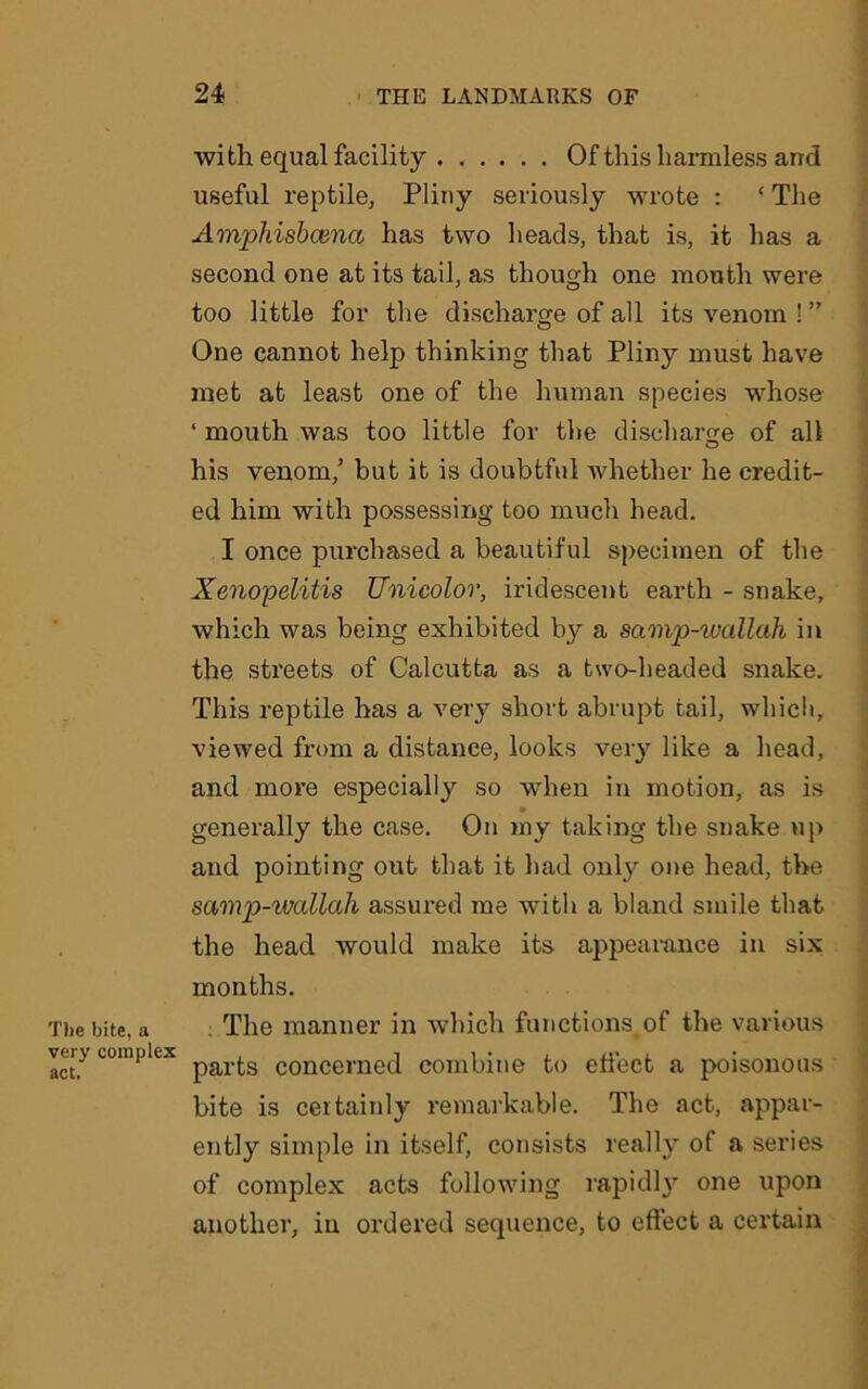 with equal facility Of this harmless and useful reptile, Pliny seriously wrote : * The Amphisbcena has two heads, that is, it has a second one at its tail, as though one month were too little for the discharge of all its venom!” One cannot help thinking that Pliny must have met at least one of the human species whose ‘ mouth was too little for the discharge of all his venom/ but it is doubtful Avhether he credit- ed him with possessing too much head. I once purchased a beautiful specimen of the Xenopelitis Unicolor, iridescent earth - snake, which was being exhibited by a samp-wallah in the streets of Calcutta as a two-headed snake. This reptile has a very short abrupt tail, which, viewed from a distance, looks very like a head, and more especially so when in motion, as is • generally the case. On my taking the snake up and pointing out that it had only one head, the samp-wallah assured me with a bland smile that the head would make its appearance in six months. The bite, a The manner in which functions, of the various vei> complex concerne(i combine to effect a poisonous bite is certainly remarkable. The act, appar- ently simple in itself, consists really of a series of complex acts following rapidly one upon another, in ordered sequence, to effect a certain