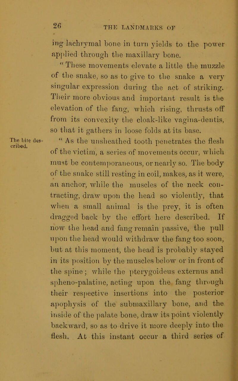 The bile des- cribed. 20 ing lachrymal bone in turn yields to the power applied through the maxillary bone. “ These movements elevate a little the muzzle of the snake, so as to give to the snake a very singular expression during the act of striking. Their more obvious and important result is tlie elevation of the fang, which rising, thrusts off from its convexity the cloalc-like vagina-dentis, so that it gathers in loose folds at its base. “As the unsheathed tooth penetrates the flesh of the victim, a series of movements occur, which must be contemporaneous, or nearly so. The body of the snake still resting in coil, makes, as it were, an anchor, while the muscles of the neck con- tracting, draw upon the head so violently, that when a small animal is the prey, it is often dragged back by the effort here described. If now the head and fang remain passive, the pull upon the head would withdraw the fang too soon, but at this moment, the head is probably stayed in its position by the muscles below or in front of the spine; while flie pterygoideus externus and spheno-palatine, acting upon the fang through their respective insertions into the posterior apophysis of the submaxillary bone, and the inside of the palate bone, draw its point violently backward, so as to drive it more deeply into the flesh. At this instant occur a third series of