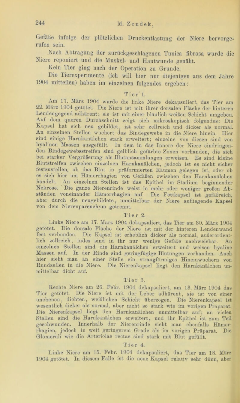 Gefäße infolge der plötzlichen Druckentlastung der Niere hervorge- rufen sein. Nach Abtragung der zurückgeschlagenen Tunica fibrosa wurde die Niere reponiert und die Muskel- und Hautwunde genäht. Kein Tier ging nach der Operation zu Grunde. Die Tierexperimente (ich will hier nur diejenigen aus dem Jahre 1904 mitteilen) haben im einzelnen folgendes ergeben: Tier 1. Am 17. März 1904 wurde die linke Niere dekapsuliert, das Tier am 22. März 1904 getötet. Die Niere ist mit ihrer dorsalen Fläche der hinteren Lendengegend adhärent; sie ist mit einer bläulich-weißen Schicht umgeben. Auf dem queren Durchschnitt zeigt sich mikroskopisch folgendes: Die Kapsel hat sich neu gebildet, ist sehr zellreich und dicker als normal. An einzelnen Stellen wuchert das Bindegewebe in die Niere hinein. Hier sind einige Harnkanälchen stark erweitert: einzelne von diesen sind von hyalinen Massen ausgefüllt. In dem in das Innere der Niere eindringen- den Bindegewebsstreifen sind gelblich gefärbte Zonen vorhanden, die sich bei starker Vergrößerung als Blutansammlungen erweisen. Es sind kleine Blutstreifen zwischen einzelnen Harnkanälchen, jedoch ist es nicht sicher festzustellen, ob das Blut in präformierten Bäumen gelegen ist, oder ob es sich hier um Hämorrhagien von Gefäßen zwischen den Harnkanälchen handelt. An einzelnen Stellen ist das Epithel im Stadium beginnender Nekrose. Die ganze Nierenrinde weist in mehr oder weniger großen Ab- ständen voneinander Hämorrhagien auf. Die Fettkapsel ist gefäßreich, aber durch die neugebildete, unmittelbar der Niere aufliegende Kapsel von dem Nierenparenchym getrennt. Tier 2. Linke Niere am 17. März 1904 dekapsuliert, das Tier am 30. März 1904 getötet. Die dorsale Fläche der Niere ist mit der hinteren Lendenwand fest verbunden. Die Kapsel ist erheblich dicker als normal, außerordent- lich zellreich, indes sind in ihr nur wenige Gefäße nachweisbar. An einzelnen Stellen sind die Harnkanälchen erweitert und weisen hyaline Massen auf. In der Binde sind geringfügige Blutungen vorhanden. Auch hier sieht man an einer Stelle ein strangförmiges Hineinwuchern von Bundzellen in die Niere. Die Nierenkapsel liegt den Harnkanälchen un- mittelbar dicht auf. Tier 3. Beeilte Niere am 26. Febr. 1904 dekapsuliert, am 13. März 1904 das Tier getötet. Die Niere ist mit der Leber adhärent, sie ist von einer unebenen, dichten, weißlichen Schicht überzogen. Die Nierenkapsel ist wesentlich dicker als normal, aber nicht so stark wie im vorigen Präparat. Die Nierenkapsel liegt den Harnkanälchen unmittelbar auf; an vielen Stellen sind die Harnkanälchen erweitert, und ihr Epithel ist zum Teil geschwunden. Innerhalb der Nierenrinde sieht man ebenfalls Hämor- rhagien, jedoch in weit geringerem Grade als im vorigen Präparat. Die Glomeruli wie die Arteriolae rectae sind stark mit Blut gefüllt. Tier 4. Linke Niere am 15. Febr. 1904 dekapsuliert, das Tier am 18. März 1904 getötet. In diesem Falle ist die neue Kapsel relativ sehr dünn, aber