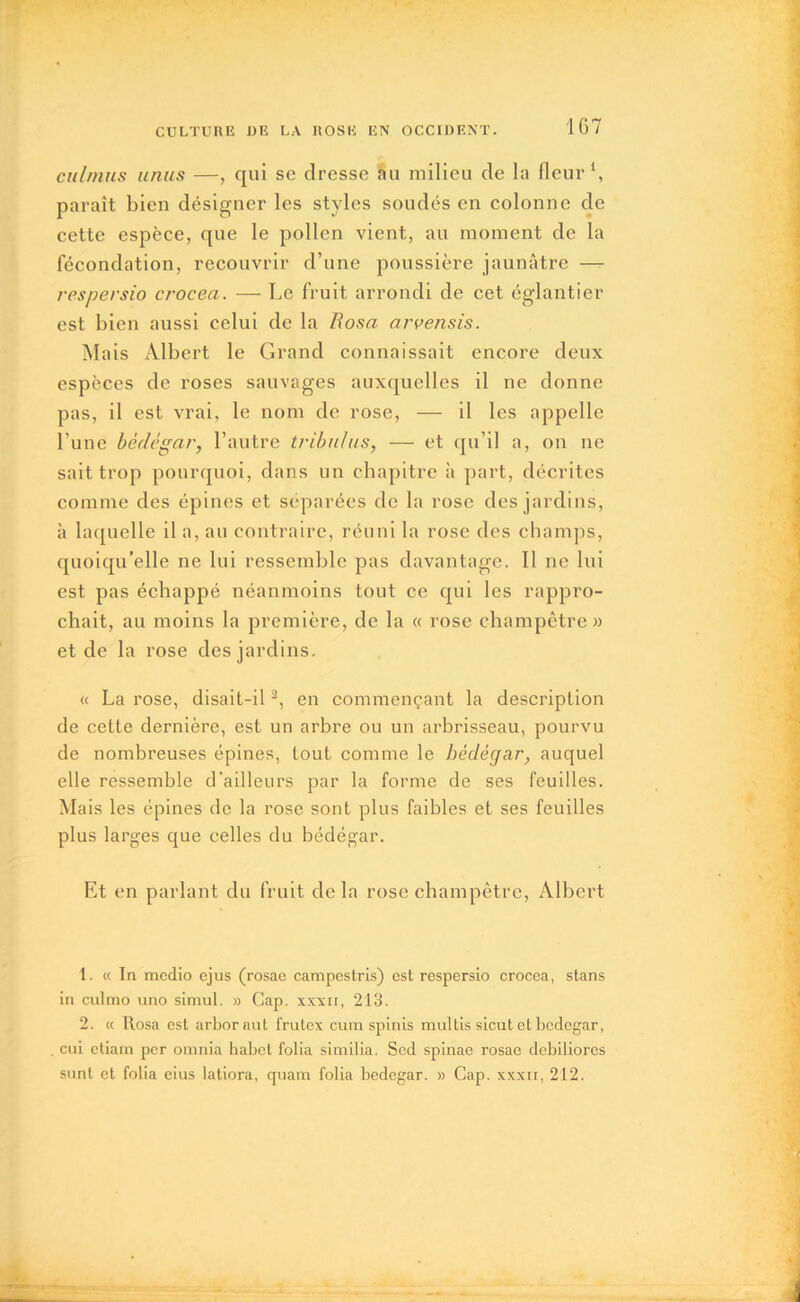 culmus unus —, qui se dresse au milieu de la fleur1, paraît bien désigner les styles soudés en colonne de cette espèce, que le pollen vient, au moment de la fécondation, recouvrir d’une poussière jaunâtre — respersio crocea. — Le fruit arrondi de cet églantier est bien aussi celui de la Rosa arvensis. M ais Albert le Grand connaissait encore deux espèces de roses sauvages auxquelles il ne donne pas, il est vrai, le nom de rose, — il les appelle l’une bêdégar, l’autre tribuhis, — et qu’il a, on ne sait trop pourquoi, dans un chapitre à part, décrites comme des épines et séparées de la rose des jardins, à laquelle il a, au contraire, réuni la rose des champs, quoiqu’elle ne lui ressemble pas davantage. Il ne lui est pas échappé néanmoins tout ce qui les rappro- chait, au moins la première, de la a rose champêtre» et de la rose des jardins. « La rose, disait-il2, en commençant la description de cette dernière, est un arbre ou un arbrisseau, pourvu de nombreuses épines, tout comme le bèclégar, auquel elle ressemble d'ailleurs par la forme de ses feuilles. Mais les épines de la rose sont plus faibles et ses feuilles plus larges que celles du bédégar. Et en parlant du fruit delà rose champêtre, Albert 1. « In medio cjus (rosae campestris) est respersio crocea, stans in culmo uno simul. » Cap. xxxu, 213. 2. « Rosa est arborant frutex cum spinis muftis sicut et bedegar, cui etiam per omnia habet folia similia. Scd spinac rosae debiliorcs sunt et folia eius latiora, quam folia bedegar. » Cap. xxxn, 212.