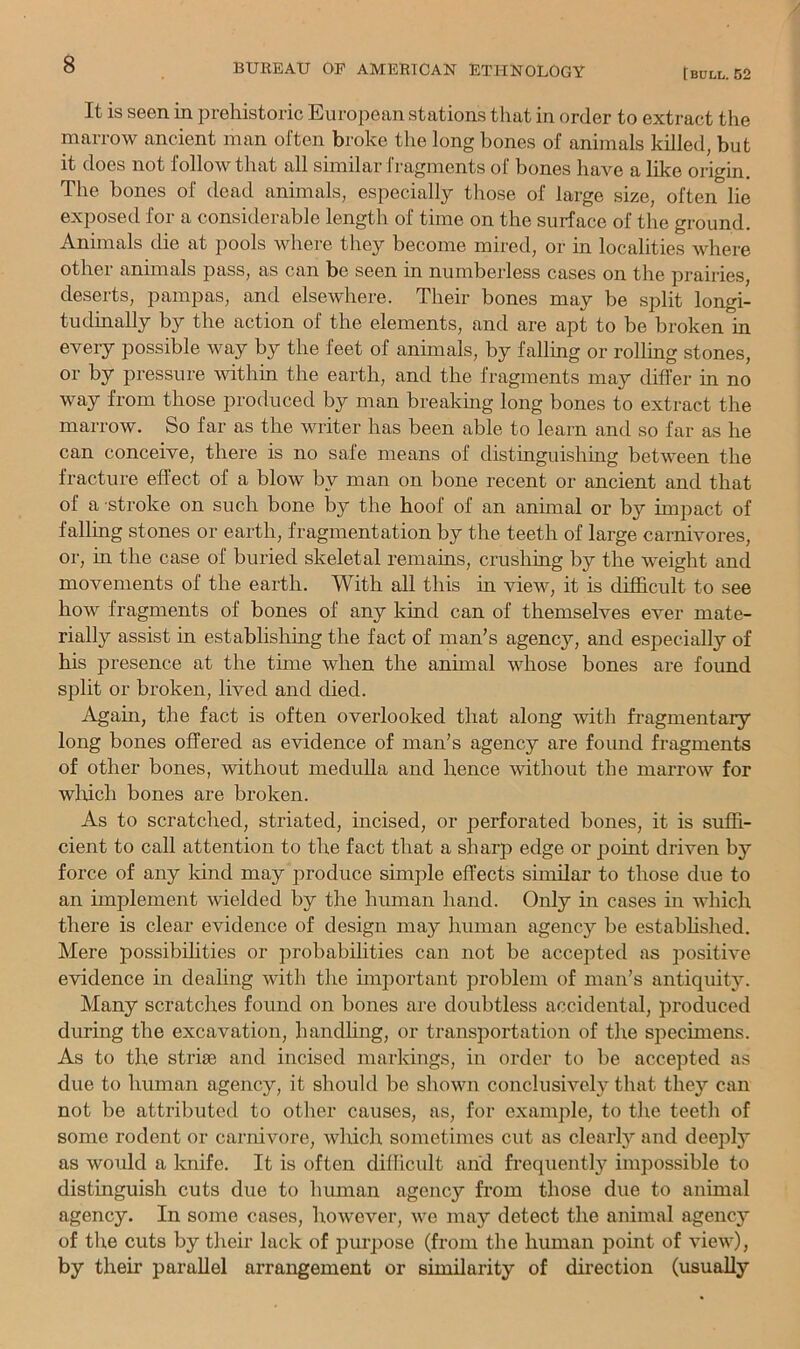 It is seen in prehistoric European stations that in order to extract the marrow ancient man often broke the long bones of animals killed, but it does not follow that all similar fragments of bones have a like origin. The bones of dead animals, especially those of large size, often lie exposed for a considerable length of time on the surface of the ground. Animals die at pools where they become mired, or in localities where other animals pass, as can be seen in numberless cases on the prairies, deserts, pampas, and elsewhere. Their bones may be split longi- tudinally by the action of the elements, and are apt to be broken in every possible way by the feet of animals, by falling or rolling stones, or by pressure within the earth, and the fragments may differ in no way from those produced by man breaking long bones to extract the marrow. So far as the writer has been able to learn and so far as he can conceive, there is no safe means of distinguishing between the fracture effect of a blow by man on bone recent or ancient and that of a stroke on such bone by the hoof of an animal or by impact of falling stones or earth, fragmentation by the teeth of large carnivores, or, in the case of buried skeletal remains, crushing by the weight and movements of the earth. With all this in view, it is difficult to see how fragments of bones of any kind can of themselves ever mate- rially assist in establishing the fact of man’s agency, and especially of his presence at the time when the animal whose bones are found split or broken, lived and died. Again, the fact is often overlooked that along with fragmentary long bones offered as evidence of man’s agency are found fragments of other bones, without meduUa and hence without the marrow for wliich bones are broken. As to scratched, striated, incised, or perforated bones, it is suffi- cient to call attention to the fact that a sharp edge or point driven by force of any kind may produce simple effects similar to those due to an implement wielded by the human hand. Only in cases in which there is clear evidence of design may human agency be estabhshed. Mere possibilities or probabilities can not be accepted as positive evidence in dealing with the important problem of man’s antiquity. Many scratches found on bones are doubtless accidental, produced during the excavation, handling, or transportation of the specimens. As to the striae and incised markings, in order to be accepted as due to human agency, it should he shown conclusively that they can not be attributed to other causes, as, for example, to the teeth of some rodent or carnivore, which sometimes cut as clearly and deeply as would a knife. It is often difficult and frequently impossible to distinguish cuts due to human agency from those due to animal agency. In some cases, however, we may detect the animal agency of the cuts by their lack of jiurpose (from the human point of view), by their parallel arrangement or similarity of direction (usually