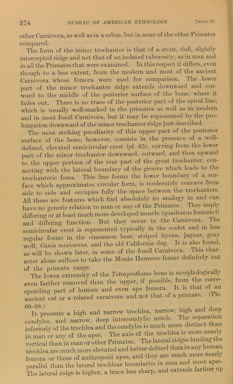 other Carnivora, as well as in a cebus, hut in none of the other Primates compared. The form of the minor trochanter is that of a stout, dull, slightly intercepted ridge and not that of an isolated tuberosity, as in man and in all the Primates that were examined. In tliis respect it differs, even though to a less extent, from the modern and most of the ancient Carnivora whose femora were used for comparison. The lower part of the minor trochanter ridge extends downward and out- ward to the middle of the posterior surface of the bone, where it fades out. There is no trace of the posterior part of the spiral line, which is usually well-marked in the primates as well as in modern and m most fossil Carnivora, but it may be represented by the pro- longation downward of the minor trochanter ridge just described. The most striking peculiarity of this upper part of the posterior surface of the bone, however, consists in the presence of a well- defined, elevated semicircular crest (pi. 65), curving from the lower part of the minor trochanter downward, outward, and then upward to the upper portion of the rear part of the great trochanter, con- necting with the lateral boundary of the groove which leads to the trochanteric fossa. This line forms the lower boundary of a sur- face which approximates circular form, is moderately concave from side to side and occupies fully the space between the trochanters. All these are features which find absolutely no analogy in and can have no generic relation to man or any of the Primates. They impl> differing or at least much more developed muscle (quadratus femoris ?) and differing function. But they occur in the Carmvora. The semicircular crest is represented typically m the ocelot and m less reo-ular forms in the cinnamon bear, striped hyena, jaguar, gray wolf Canis mexicanus, and the old California dog. It is also found, as will be shown later, in some of the fossil Carnivora. Tins char- acter alone suffices to take the Monte Hermoso femur definitely out of the primate range. . ^ The lowe? extremity of the Tetraprotliomo bone is morphologically even farther removed than the upper, if possible, from the corre- sponding part of human and even ape femora. It is that o an ancient cat or a related carnivore and not that of a pinnate. ( b. 66—68.) , . , 1 It presents a high and narrow trochlea, narrow, high and deep condyles, and narrow, deep intercondylic notch. The reparation inferiorly of the trocldea and the condyles is much more distinct than in man or any of the apes. The axis of the trocldea is vertical than in man or other Primates. The lateral ridges ° trochlea are much more elevated and better dehned than in any human femora or those of anthropoid apes, and they are much more near y parallel than the lateral trochlear boundaries in man and most apes The lateral ridge is higher, a trace less sharp, and extends farther 11