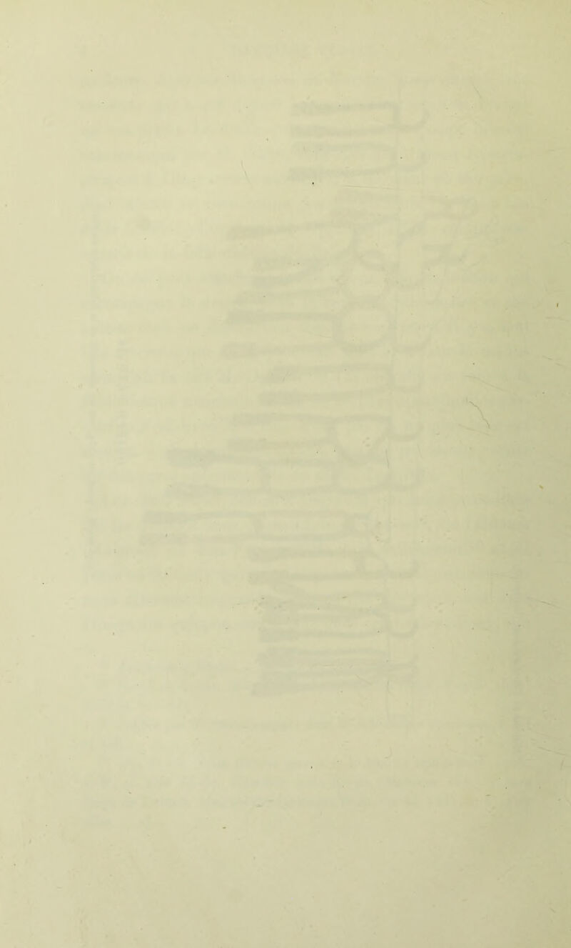 r . > ' - V k kl. . s. ^ i V ^ ■