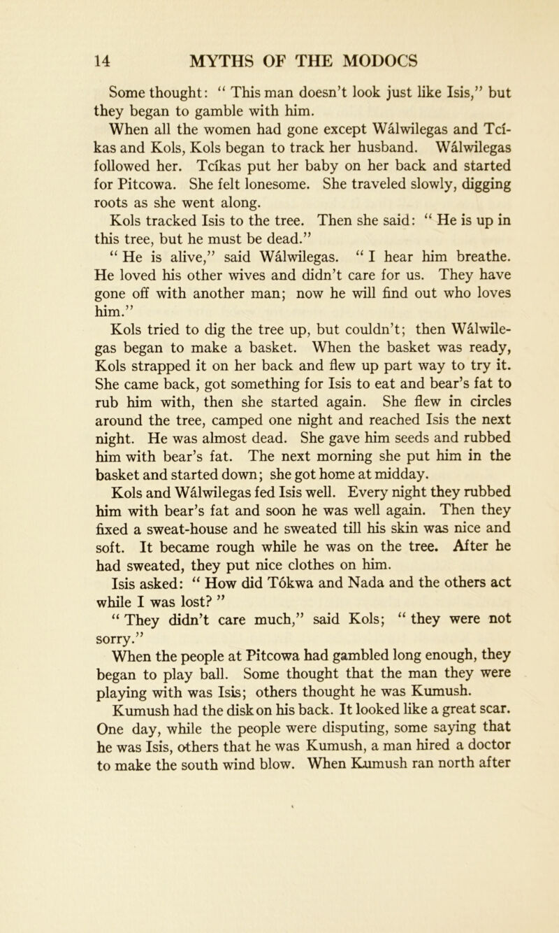 Some thought: “ This man doesn’t look just like Isis,” but they began to gamble with him. When all the women had gone except Walwilegas and Tci- kas and Kols, Kols began to track her husband. Walwilegas followed her. Takas put her baby on her back and started for Pitcowa. She felt lonesome. She traveled slowly, digging roots as she went along. Kols tracked Isis to the tree. Then she said: “ He is up in this tree, but he must be dead.” “ He is alive,” said Walwilegas. “ I hear him breathe. He loved his other wives and didn’t care for us. They have gone off with another man; now he will find out who loves him.” Kols tried to dig the tree up, but couldn’t; then Walwile- gas began to make a basket. When the basket was ready, Kols strapped it on her back and flew up part way to try it. She came back, got something for Isis to eat and bear’s fat to rub him with, then she started again. She flew in circles around the tree, camped one night and reached Isis the next night. He was almost dead. She gave him seeds and rubbed him with bear’s fat. The next morning she put him in the basket and started down; she got home at midday. Kols and Walwilegas fed Isis well. Every night they rubbed him with bear’s fat and soon he was well again. Then they fixed a sweat-house and he sweated till his skin was nice and soft. It became rough while he was on the tree. After he had sweated, they put nice clothes on him. Isis asked: “ How did Tokwa and Nada and the others act while I was lost? ” “ They didn’t care much,” said Kols; “ they were not sorry.” When the people at Pitcowa had gambled long enough, they began to play ball. Some thought that the man they were playing with was Isis; others thought he was Kumush. Kumush had the disk on his back. It looked like a great scar. One day, while the people were disputing, some saying that he was Isis, others that he was Kumush, a man hired a doctor to make the south wind blow. When Kumush ran north after