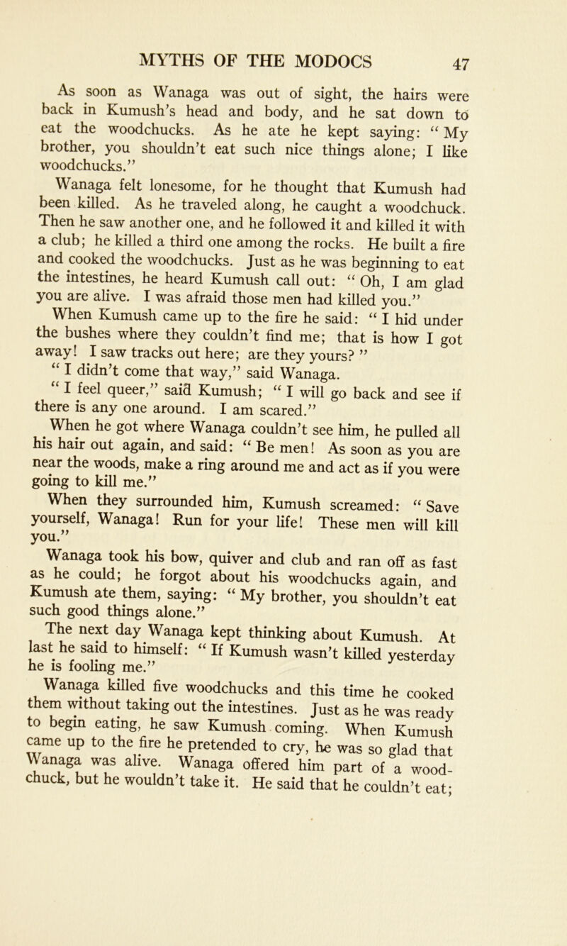 As soon as Wanaga was out of sight, the hairs were back in Kumush’s head and body, and he sat down to eat the woodchucks. As he ate he kept saying: “ My brother, you shouldn’t eat such nice things alone; I like woodchucks.” Wanaga felt lonesome, for he thought that Kumush had been killed. As he traveled along, he caught a woodchuck. Then he saw another one, and he followed it and killed it with a club; he killed a third one among the rocks. He built a fire and cooked the woodchucks. Just as he was beginning to eat the intestines, he heard Kumush call out: u Oh, X am glad you are alive. I was afraid those men had killed you.” When Kumush came up to the fire he said: “ I hid under the bushes where they couldn’t find me; that is how I got away! I saw tracks out here; are they yours? ” “ I didn’t come that way,” said Wanaga. “ 1 /eel queer,” said Kumush; “ I will go back and see if there is any one around. I am scared.” When he got where Wanaga couldn’t see him, he pulled all his hair out again, and said: “ Be men! As soon as you are near the woods, make a ring around me and act as if you were going to kill me.” When they surrounded him, Kumush screamed: “ Save yourself, Wanaga! Run for your life! These men will kill you.” Wanaga took his bow, quiver and club and ran off as fast as he could; he forgot about his woodchucks again, and Kumush ate them, saying: “ My brother, you shouldn’t eat such good things alone.” The next day Wanaga kept thinking about Kumush. At last he said to himself: “ If Kumush wasn’t killed yesterdav he is fooling me.” y Wanaga killed five woodchucks and this time he cooked them without taking out the intestines. Just as he was ready to begin eating, he saw Kumush coming. When Kumush came up to the fire he pretended to cry, he was so glad that Wanaga was alive. Wanaga offered him part of a wood- chuck, but he wouldn’t take it. He said that he couldn’t eat-