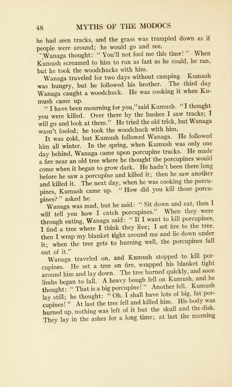 he had seen tracks, and the grass was trampled down as if people were around*, he would go and see. Wanaga thought: “ You’ll not fool me this time! ” When Kumush screamed to him to run as fast as he could, he ran, but he took the woodchucks with him. Wanaga traveled for two days without camping. Kumush was hungry, but he followed his brother. The third day Wanaga caught a woodchuck. He was cooking it when Ku- mush came up. u \ have been mourning for you, ’said Kumush. I thought you were killed. Over there by the bushes I saw tracks; I will go and look at them.” He tried the old trick, but Wanaga wasn’t fooled; he took the woodchuck with him. It was cold, but Kumush followed Wanaga. He followed him all winter. In the spring, when Kumush was only one day behind, Wanaga came upon porcupine tracks. He made a fire near an old tree where he thought the porcupines would come when it began to grow dark. He hadn t been there long before he saw a porcupine and killed it; then he saw another and killed it. The next day, when he was cooking the porcu- pines, Kumush came up. “ How did you kill those porcu- pines? ” asked he. Wanaga was mad, but he said: “ Sit down and eat, then I will tell you how I catch porcupines.” When they were through eating, Wanaga said: “ If I want to kill porcupines, I find a tree where I think they live; I set fire to the tree, then I wrap my blanket tight around me and lie down under it; when the tree gets to burning well, the porcupines fall out of it.” « 1*11 Wanaga traveled on, and Kumush stopped to kill por- cupines He set a tree on fire, wrapped his blanket tight around him and lay down. The tree burned quickly and soon limbs began to fall. A heavy bough fell on Kumush, and he thought: “ That is a big porcupine! ” Another fell. Kumush lay still; he thought: “ Oh, I shall have lots of big, fat por- cupines! ” At last the tree fell and killed him. His body was burned up, nothing was left of it but the skull and the disk. They lay in the ashes for a long time; at last the morning
