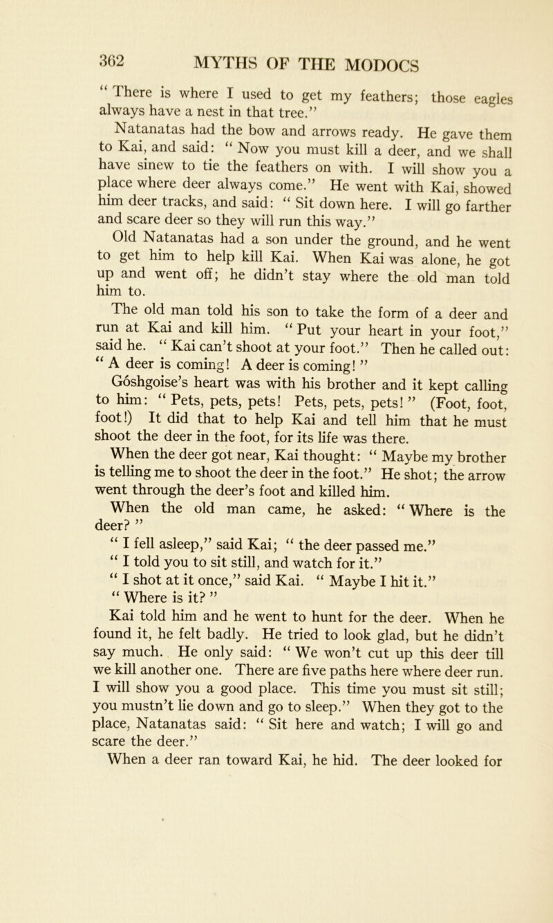 I here is where I used to get my feathers; those eagles always have a nest in that tree.” Natanatas had the bow and arrows ready. He gave them to Kai, and said: “ Now you must kill a deer, and we shall have sinew to tie the feathers on with. I will show you a place where deer always come.” He went with Kai, showed him deer tracks, and said: u Sit down here. I will go farther and scare deer so they will run this way.” Old Natanatas had a son under the ground, and he went to get him to help kill Kai. When Kai was alone, he got up and went off; he didn’t stay where the old man told him to. The old man told his son to take the form of a deer and run at Kai and kill him. u Put your heart in your foot,” said he. “ Kai can’t shoot at your foot.” Then he called out: “ A deer is coming! A deer is coming! ” Goshgoise’s heart was with his brother and it kept calling to him: “ Pets, pets, pets! Pets, pets, pets! ” (Foot, foot, foot!) It did that to help Kai and tell him that he must shoot the deer in the foot, for its life was there. When the deer got near, Kai thought: “ Maybe my brother is telling me to shoot the deer in the foot.” He shot; the arrow went through the deer’s foot and killed him. When the old man came, he asked: “ Where is the deer? ” “ I fell asleep,” said Kai; “ the deer passed me.” “ I told you to sit still, and watch for it.” “ I shot at it once,” said Kai. “ Maybe I hit it.” “ Where is it? ” Kai told him and he went to hunt for the deer. When he found it, he felt badly. He tried to look glad, but he didn’t say much. He only said: “ We won’t cut up this deer till we kill another one. There are five paths here where deer run. I will show you a good place. This time you must sit still; you mustn’t lie down and go to sleep.” When they got to the place, Natanatas said: “ Sit here and watch; I will go and scare the deer.” When a deer ran toward Kai, he hid. The deer looked for