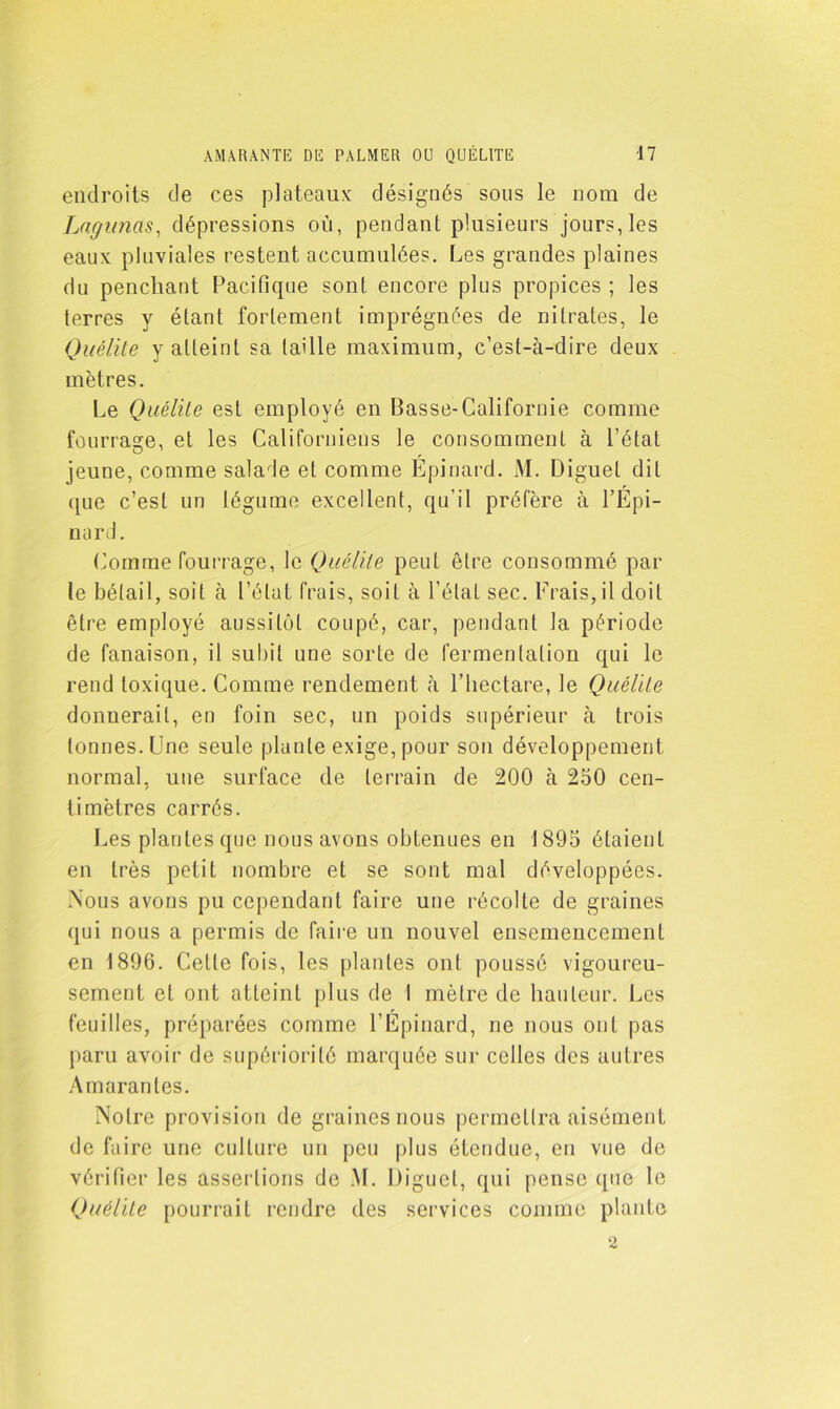 endroits de ces plateaux désignés sous le nom de Lagunas, dépressions où, pendant plusieurs jours, les eaux pluviales restent accumulées. Les grandes plaines du penchant Pacifique sont encore plus propices ; les terres y étant fortement imprégnées de nitrates, le Quélite y atteint sa taille maximum, c’est-à-dire deux mètres. Le Quélite est employé en Basse-Californie comme fourrage, et les Californiens le consomment à l’état jeune, comme salade et comme Epinard. M. Diguel dit que c’est un légume excellent, qu'il préfère à l’Épi- nard. (Homme fourrage, le Quélite peut être consommé par le bétail, soit à l’état frais, soit à l’état sec. Frais,il doit être employé aussitôt coupé, car, pendant la période de fanaison, il subit une sorte de fermentation qui le rend toxique. Comme rendement à l’hectare, le Quélite donnerait, en foin sec, un poids supérieur à trois tonnes. Une seule plante exige, pour son développement normal, une surface de terrain de 200 à 250 cen- / limètres carrés. Les plantes que nous avons obtenues en 1895 étaient en très petit nombre et se sont mal développées. Nous avons pu cependant faire une récolte de graines qui nous a permis de faire un nouvel ensemencement en 1896. Cette fois, les plantes ont poussé vigoureu- sement et ont atteint plus de I mètre de hauteur. Les feuilles, préparées comme l’Épinard, ne nous ont pas paru avoir de supériorité marquée sur celles des autres Amarantes. Notre provision de graines nous permettra aisément de faire une culture un peu plus étendue, en vue de vérifier les assertions de M. Diguel, qui pense que le Quélite pourrait rendre des services comme plante y