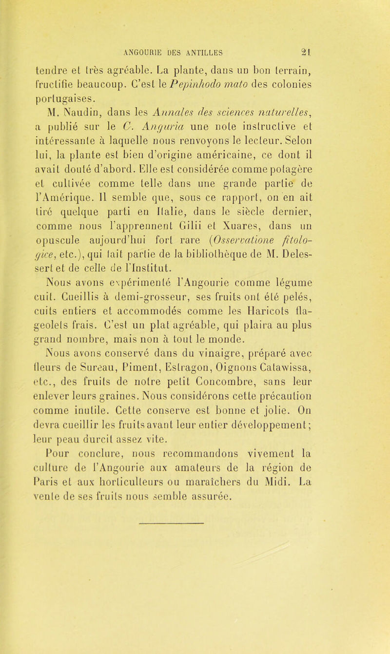 tendre et très agréable. La plante, dans un bon terrain, fructifie beaucoup. C’est le Pepinhodo mato des colonies portugaises. M. Naudin, dans les Annales des sciences naturelles, a publié sur le 0. Anguria une note instructive et intéressante cà laquelle nous renvoyons le lecteur. Selon lui, la plante est bien d’origine américaine, ce dont il avait douté d’abord. Elle est considérée comme potagère et cultivée comme telle dans une grande partie de l’Amérique. 11 semble que, sous ce rapport, on en ait tiré quelque parti en Italie, dans le siècle dernier, comme nous l’apprennent Gilii et Xuares, dans un opuscule aujourd’hui fort rare (Osservatione fitolo- gice, etc.), qui lait partie de la bibliothèque de M. Deles- serlet de celle de l'Institut. Nous avons expérimenté l'Angourie comme légume cuit. Cueillis à demi-grosseur, ses fruits ont été pelés, cuits entiers et accommodés comme les Haricots fla- geolets frais. C’est un plat agréable, qui plaira au plus grand nombre, mais non à tout le monde. Nous avons conservé dans du vinaigre, préparé avec (leurs de Sureau, Piment, Estragon, Oignons Catawissa, etc., des fruits de notre petit Concombre, sans leur enlever leurs graines. Nous considérons cette précaution comme inutile. Cette conserve est bonne et jolie. On devra cueillir les fruits avant leur entier développement; leur peau durcit assez vite. Pour conclure, nous recommandons vivement la culture de l’Angourie aux amateurs de la région de Paris et aux horticulteurs ou maraîchers du Midi. La vente de ses fruits nous semble assurée.