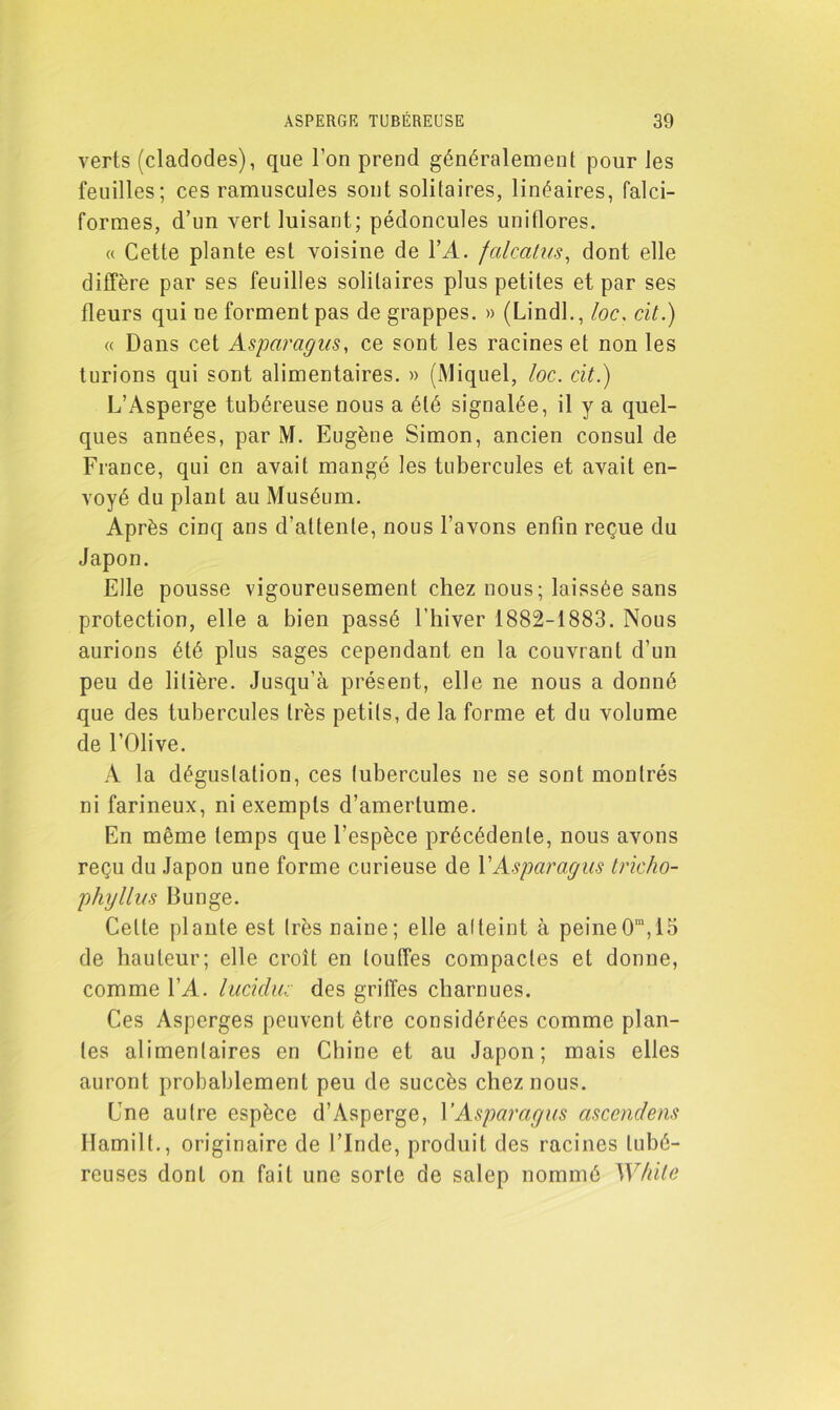 verts (cladodes), que l’on prend généralement pour les feuilles; ces ramuscules sont solitaires, linéaires, falci- formes, d’un vert luisant; pédoncules uniflores. « Cette plante est voisine de Y A. falcatus, dont elle diffère par ses feuilles solitaires plus petites et par ses fleurs qui ne forment pas de grappes. » (Lindl., loc. cit.) « Dans cet Asparagus, ce sont les racines et non les turions qui sont alimentaires. » (Miquel, loc. cit.) L’Asperge tubéreuse nous a été signalée, il y a quel- ques années, par M. Eugène Simon, ancien consul de France, qui en avait mangé les tubercules et avait en- voyé du plant au Muséum. Après cinq ans d’attente, nous l’avons enfin reçue du Japon. Elle pousse vigoureusement chez nous; laissée sans protection, elle a bien passé l’hiver 1882-1883. Nous aurions été plus sages cependant en la couvrant d’un peu de litière. Jusqu’à présent, elle ne nous a donné que des tubercules très petits, de la forme et du volume de l’Olive. A la dégustation, ces tubercules ne se sont montrés ni farineux, ni exempts d’amertume. En même temps que l’espèce précédente, nous avons reçu du Japon une forme curieuse de Y Asparagus tricho- phyllus Bunge. Celte plante est très naine; elle atteint à peine0ra, 15 de hauteur; elle croît en touffes compactes et donne, comme VA. luciduc des griffes charnues. Ces Asperges peuvent être considérées comme plan- tes alimentaires en Chine et au Japon; mais elles auront probablement peu de succès chez nous. Une autre espèce d’Asperge, Y Asparagus ascenclens Hamilt., originaire de l’Inde, produit des racines tubé- reuses dont on fait une sorte de salep nommé While