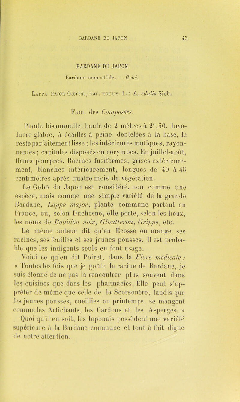 BARDANE DU JAPON Bardane comestible. — Gobé. Lappa major Gærtn., var. edulis L. ; L. edulis Sieb. Fam. des Composées. Plante bisannuelle, haute de 2 mètres à 2'a,50. Invo- lucre glabre, à écailles à peine dentelées à la base, le reste parfaitemenllisse ; les intérieures muliques, rayon- nantes; capitules disposésen corymbes. En juillet-août, Heurs pourpres. Bacines fusiformes, grises extérieure- ment, blanches intérieurement, longues de 40 à 45 centimètres après quatre mois de végétation. Le Gobô du Japon est considéré, non comme une espèce, mais comme une simple variété de la grande Bardane, Lappa major, plante commune partout en France, où, selon Duchesne, elle porte, selon les lieux, les noms de Bouillon noir, Gloutteron, Grippe, etc. Le même auteur dit qu’en Écosse on mange ses racines, ses feuilles et ses jeunes pousses. Il est proba- ble que les indigents seuls en font usage. Voici ce qu’en dit Poirel, dans la Flore médicale : « Toutes les fois que je goule la racine de Bardaue, je suis étonné de ne pas la rencontrer plus souvent dans les cuisines que dans les pharmacies. Elle peut s’ap- prêter de même que celle de la Scorsonère, tandis que les jeunes pousses, cueillies au printemps, se mangent comme les Artichauts, les Cardons et les Asperges. » Quoi qu’il en soit, les Japonais possèdent une variété supérieure à la Bardane commune et tout à fait digne de notre al lent ion.