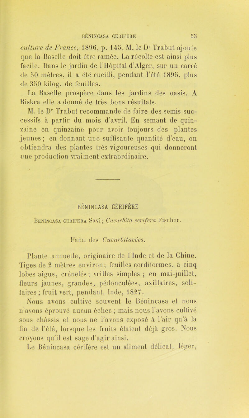 culture de France, 1896, p. 145, M. le Dr Trabut ajoute que la Baselle doit être ramée. La récolte est ainsi plus facile. Dans le jardin de l'Hôpital d’Alger, sur un carré de 50 mètres, il a élé cueilli, pendant l’été 1895, plus de 350 kilog. de feuilles. La Baselle prospère dans les jardins des oasis. A Biskra elle a donné de très bons résultats. M. le Dr Trabut recommande de faire des semis suc- cessifs à partir du mois d’avril. En semant de quin- zaine en quinzaine pour avoir toujours des plantes jeunes; en donnant une suffisante quantité d’eau, on obtiendra des plantes très vigoureuses qui donneront une production vraiment extraordinaire. BÉNINCASA CÉRIFÈRE Bénincasa cerifera Savi; Cucurbita cerifera Fischer. Fam. des Cucnrbitacées. Plante annuelle, originaire de l'Inde et de la Chine. Tiges de 2 mètres environ; feuilles cordiformes, à cinq lobes aigus, crénelés; vrilles simples ; en mai-juillet, fleurs jaunes, grandes, pédonculées, axillaires, soli- taires; fruit vert, pendant. Inde, 1827. Nous avons cultivé souvent le Bénincasa et nous n’avons éprouvé aucun échec; mais nous l’avons cultivé sous châssis et nous ne l’avons exposé à Pair qu’à la fin de l’été, lorsque les fruits étaient déjà gros. Nous croyons qu’il est sage d’agir ainsi. Le Bénincasa cérifère est un aliment délicat, léger,