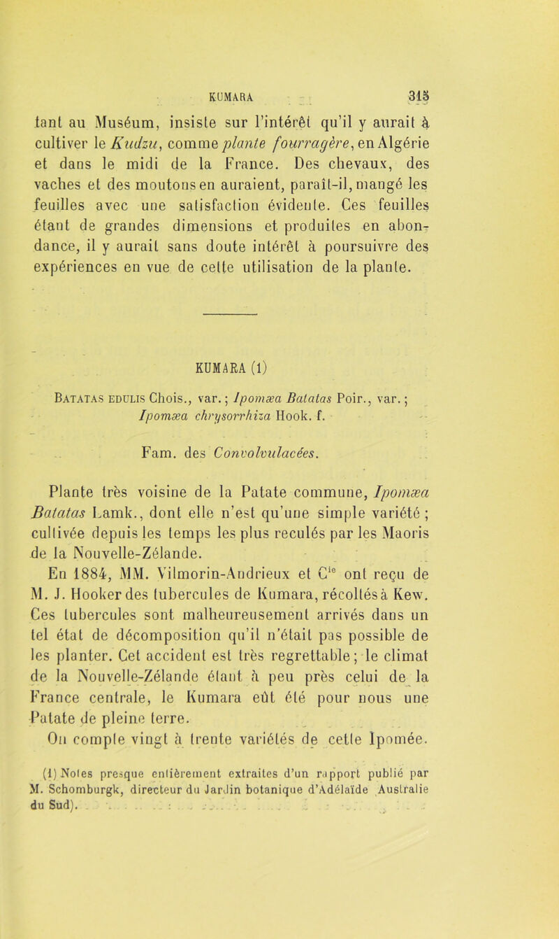 tant au Muséum, insiste sur l’intérêt qu’il y aurait à cultiver le Kudzu, comme plante fourragère, en Algérie et dans le midi de la France. Des chevaux, des vaches et des moutons en auraient, paraît-il, mangé les feuilles avec une satisfaction évidente. Ces feuilles étant de grandes dimensions et produites en abon- dance, il y aurait sans doute intérêt à poursuivre des expériences en vue de cette utilisation de la plante. KUMARA (1) Batatas edülis Chois., var. ; Ipomæa Balatas Poir., var. ; Ipomæci chrysorrhiza Hook. f. Fam. des Convolvulacées. Plante très voisine de la Patate commune, Ipomæa Batatas Lamk., dont elle n’est qu’une simple variété; cultivée depuis les temps les plus reculés par les Maoris de la Nouvelle-Zélande. En 1884, MM. Yilmorin-Andrieux et Cie ont reçu de M. J. Hookerdes tubercules de Kumara, récoltés à Kew. Ces tubercules sont malheureusement arrivés dans un tel état de décomposition qu’il n’était pas possible de les planter. Cet accident est très regrettable ; le climat de la Nouvelle-Zélande étant à peu près celui de la France centrale, le Kumara eût été pour nous une Patate de pleine terre. On compte vingt à trente variétés de cette Ipomée. (1) Noies presque entièrement extraites d’un rapport publié par M. Schomburgk, directeur du JarJin botanique d’Adélaïde Australie du Sud).