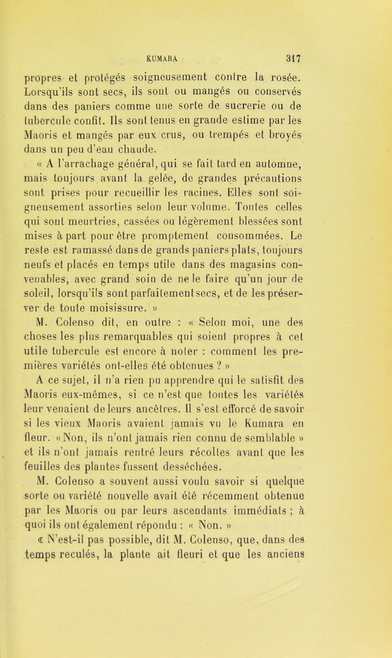 propres et protégés soigneusement corilre la rosée. Lorsqu’ils sont secs, ils sont ou mangés ou conservés dans des paniers comme une sorte de sucrerie ou de tubercule confît. Ils sont tenus en grande estime par les Maoris et mangés par eux crus, ou trempés et broyés dans un peu d’eau chaude. « A l’arrachage général, qui se fait tard en automne, mais toujours avant la gelée, de grandes précautions sont prises pour recueillir les racines. Elles sont soi- gneusement assorties selon leur volume. Toutes celles qui sont meurtries, cassées ou légèrement blessées sont mises à part pour être promptement consommées. Le reste est ramassé dans de grands paniers plats, toujours neufs et placés en temps utile dans des magasins con- venables, avec grand soin de ne le faire qu’un jour de soleil, lorsqu’ils sont parfailementsecs, et de les préser- ver de toute moisissure. » M. Colenso dit, en outre : « Selon moi, une des choses les plus remarquables qui soient propres à cet utile tubercule est encore à noter : comment les pre- mières variétés ont-elles été obtenues ? » A ce sujet, il n’a rien pu apprendre qui le satisfît des Maoris eux-mêmes, si ce n’est que toutes les variétés leur venaient de leurs ancêtres. 11 s’est efforcé de savoir si les vieux Maoris avaient jamais vu le Kumara en fleur. «Non, ils n’ont jamais rien connu de semblable » et ils n’ont jamais rentré leurs récoltes avant que les feuilles des plantes fussent desséchées. M. Colenso a souvent aussi voulu savoir si quelque sorte ou variété nouvelle avait été récemment obtenue par les Maoris ou par leurs ascendants immédiats ; à quoi ils ont également répondu : « Non. » (t N’est-il pas possible, dit M. Colenso, que, dans des temps reculés, la plante ait fleuri et que les anciens