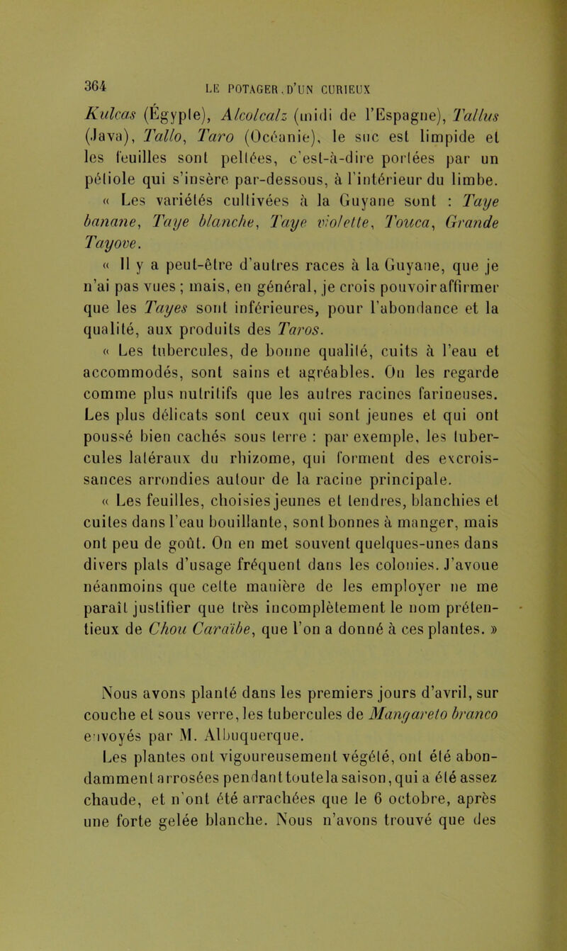 Kulcas (Égypte), Alcolcalz (midi do l’Espagne), Taillis (Java), Tallo, Taro (Océanie), le suc est limpide et les leuilles sont pellées, c’est-à-dire portées par un pétiole qui s’insère par-dessous, à l’intérieur du limbe. « Les variétés cultivées à la Guyane sont : Taye banane, Taye blanche, Taye violette, Touca, Grande Tayove. « 11 y a peut-être d'autres races à la Guyane, que je n’ai pas vues ; mais, en général, je crois pouvoir affirmer que les Tayes sont inférieures, pour l’abondance et la qualité, aux produits des Taros. « Les tubercules, de bonne qualité, cuits à l’eau et accommodés, sont sains et agréables. On les regarde comme plus nutritifs que les autres racines farineuses. Les plus délicats sont ceux qui sont jeunes et qui ont poussé bien cachés sous terre : par exemple, les tuber- cules latéraux du rhizome, qui forment des excrois- sances arrondies autour de la racine principale. « Les feuilles, choisies jeunes et tendres, blanchies et cuites dans l’eau bouillante, sont bonnes à manger, mais ont peu de goût. On en met souvent quelques-unes dans divers plats d’usage fréquent dans les colonies. J'avoue néanmoins que celte manière de les employer ne me paraît justifier que très incomplètement le nom préten- tieux de Chou Caraïbe, que l’on a donné à ces plantes. » Nous avons planté dans les premiers jours d’avril, sur couche et sous verre, les tubercules de Manyareto branco e ivoyés par M. Albuquerque. Les plantes ont vigoureusement végété, ont été abon- damment arrosées pendanttoutela saison,qui a été assez chaude, et n'ont été arrachées que le 6 octobre, après une forte gelée blanche. Nous n’avons trouvé que des