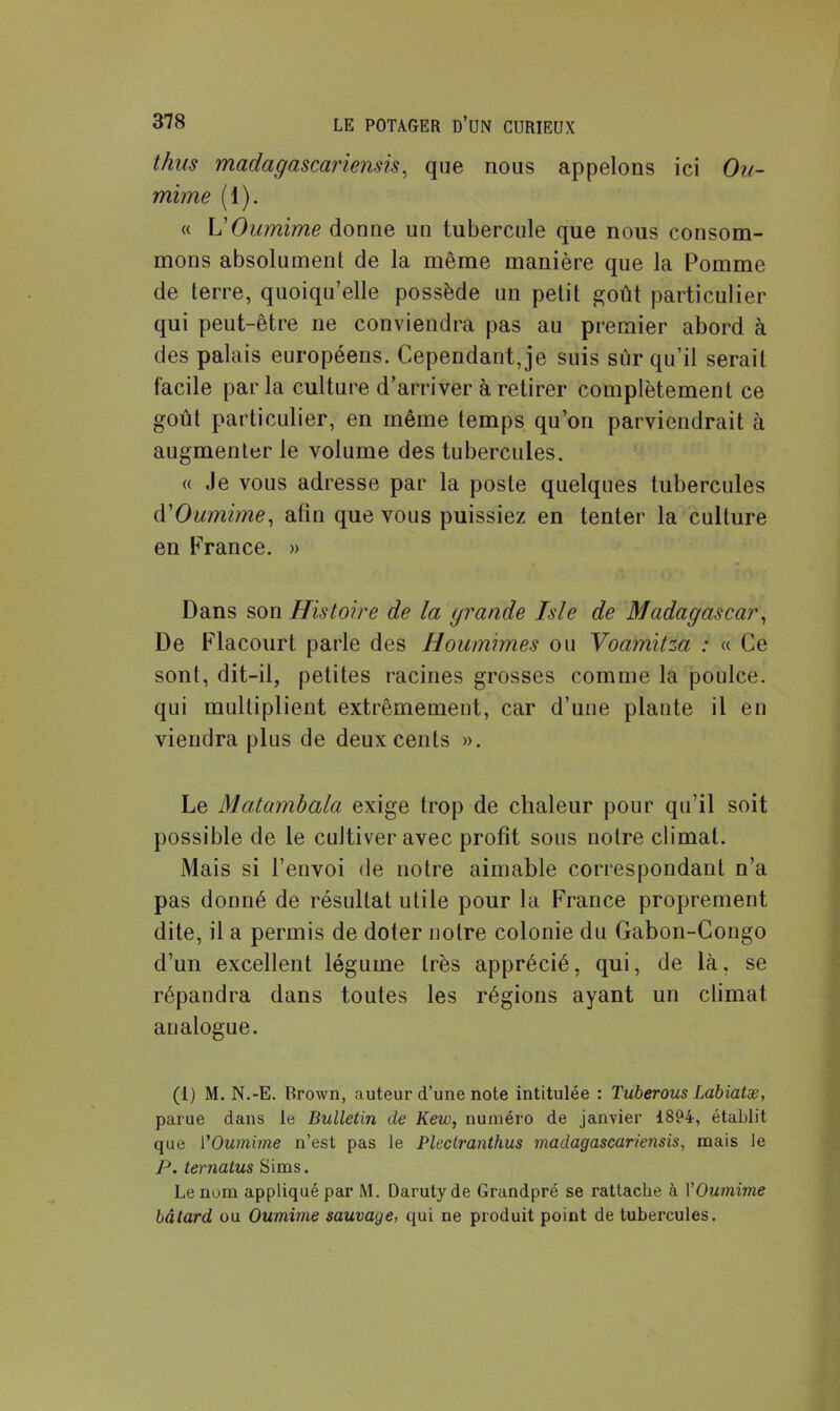 thus madagascariensis, que nous appelons ici Ou- mime (1). « \d Oumime donne un tubercule que nous consom- mons absolument de la même manière que la Pomme de terre, quoiqu’elle possède un petit goût particulier qui peut-être ne conviendra pas au premier abord à des palais européens. Cependant, je suis sûr qu’il serait facile parla culture d’arriver à retirer complètement ce goût particulier, en même temps qu’on parviendrait à augmenter le volume des tubercules. « Je vous adresse par la poste quelques tubercules d'Oumime, afin que vous puissiez en tenter la culture en France. » Dans son Histoire de la grande Isle de Madagascar, De Flacourt parle des Houmimes ou Yoamitza : « Ce sont, dit-il, petites racines grosses comme la poulce. qui multiplient extrêmement, car d’une plante il en viendra plus de deux cents ». Le Matambala exige trop de chaleur pour qu’il soit possible de le cultiver avec profit sous notre climat. Mais si l’envoi de notre aimable correspondant n’a pas donné de résultat utile pour la France proprement dite, il a permis de doter notre colonie du Gabon-Congo d’un excellent légume très apprécié, qui, de là, se répandra dans toutes les régions ayant un climat analogue. (1) M. N.-E. Brown, auteur d’une note intitulée : Tuberous Labiatæ, parue dans le Bulletin de Kew, numéro de janvier 1894, établit que l'Oumime n’est pas le Pleclranthus madagascariensis, mais le P. ternatus Sims. Le nom appliqué par M. Darutyde Grandpré se rattache à VOumime bâtard ou Oumime sauvage, qui ne produit point de tubercules.