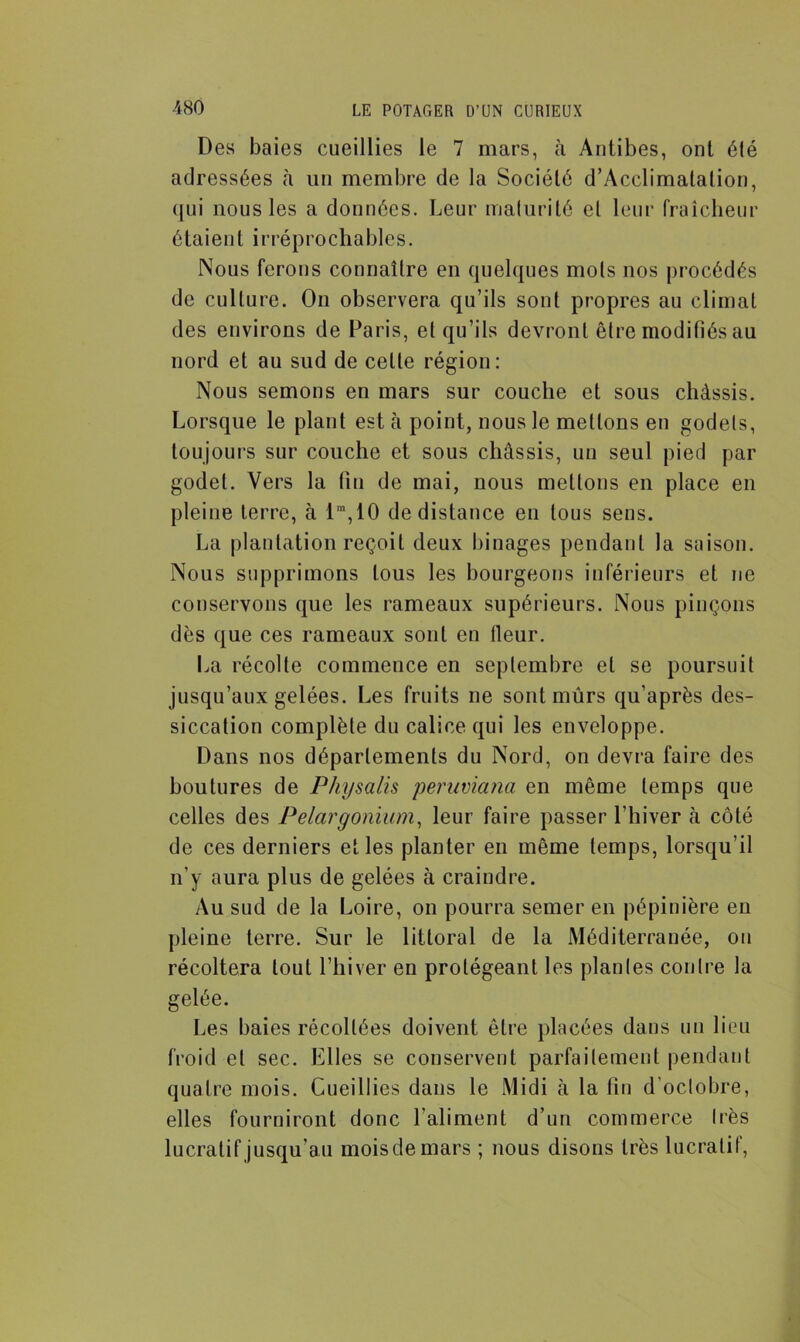 Des baies cueillies le 7 mars, à Antibes, ont été adressées à un membre de la Société d’Acclimatalion, qui nous les a données. Leur maturité el leur fraîcheur étaient irréprochables. Nous ferons connaître en quelques mois nos procédés de culture. On observera qu’ils sont propres au climat des environs de Paris, et qu’ils devront être modifiés au nord et au sud de celle région: Nous semons en mars sur couche et sous châssis. Lorsque le plant est à point, nous le mettons en godets, toujours sur couche et sous châssis, un seul pied par godet. Vers la fin de mai, nous mettons en place en pleine terre, à im,10 de distance en tous sens. La plantation reçoit deux binages pendant la saison. Nous supprimons tous les bourgeons inférieurs et ne conservons que les rameaux supérieurs. Nous pinçons dès que ces rameaux sont eu fleur. La récolte commence en septembre el se poursuit jusqu’aux gelées. Les fruits ne sont mûrs qu’après des- siccation complète du calice qui les enveloppe. Dans nos départements du Nord, on devra faire des boutures de Physalis peruwana en même temps que celles des Pélargonium, leur faire passer l'hiver à côté de ces derniers elles planter en même temps, lorsqu’il n’y aura plus de gelées à craindre. Au sud de la Loire, on pourra semer en pépinière en pleine terre. Sur le littoral de la Méditerranée, on récoltera tout l’hiver en protégeant les plantes contre la gelée. Les baies récoltées doivent être placées dans un lieu froid et sec. Elles se conservent parfaitement pendant quatre mois. Cueillies dans le Midi à la tin d'octobre, elles fourniront donc l’aliment d’un commerce très lucratif jusqu’a u mois de mars ; nous disons très lucratif,