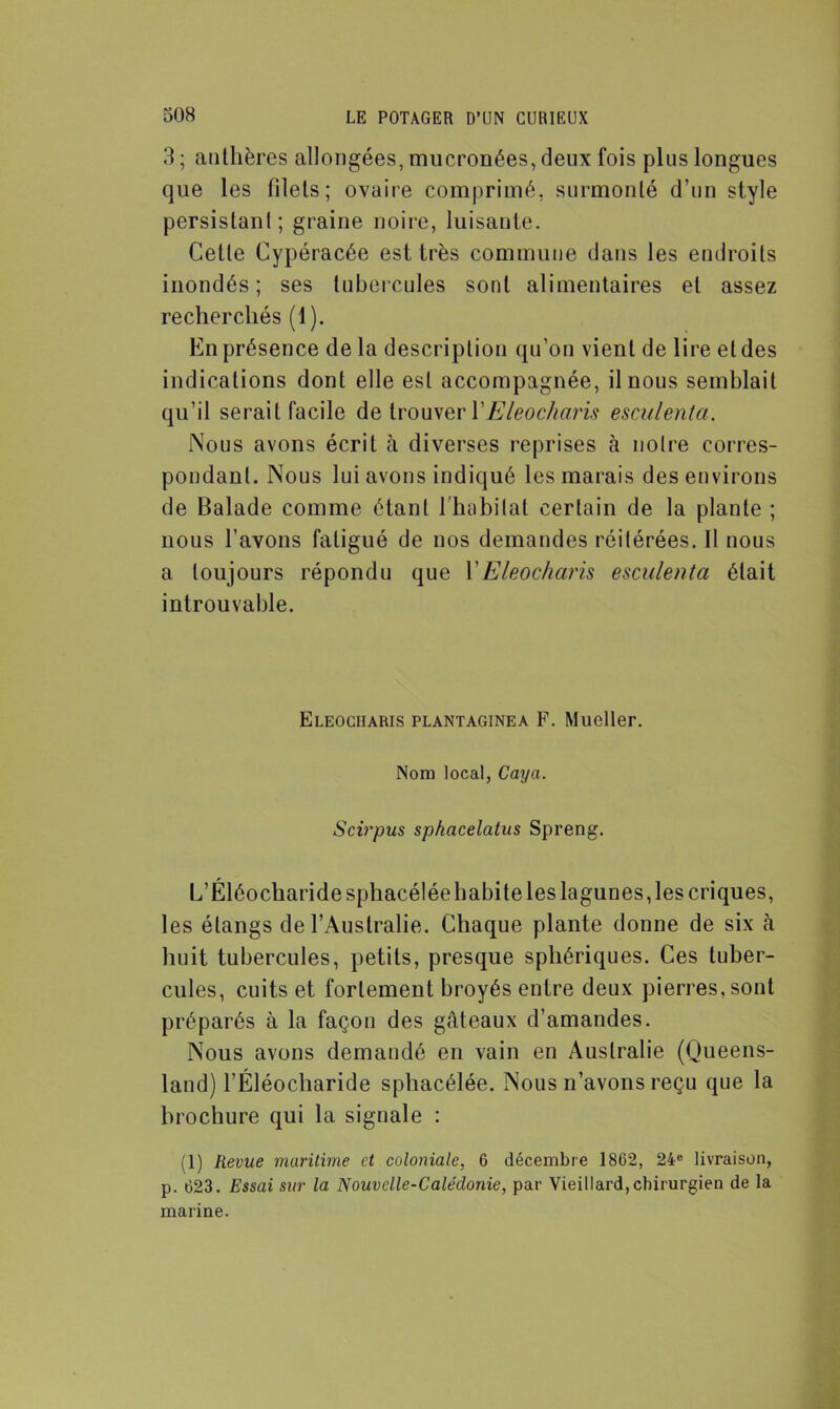 3 ; anthères allongées, mucronées, deux fois plus longues que les filets; ovaire comprimé, surmonté d’un style persistant; graine noire, luisante. Cette Cypéracée est très commune dans les endroits inondés; ses tubercules sont alimentaires et assez recherchés (1). En présence de la description qu’on vient de lire et des indications dont elle est accompagnée, il nous semblait qu’il serait facile de trouver YEleochciris esculenta. Nous avons écrit à diverses reprises à notre corres- pondant. Nous lui avons indiqué les marais des environs de Balade comme étant l'habitat certain de la plante ; nous l’avons fatigué de nos demandes réitérées. Il nous a toujours répondu que 1 'Eleocharis esculenta était introuvable. Eleocharis plantaginea F. Mueller. Nom local, Caya. Scirpus sphacelatus Spreng. L’Éléocharide sphacéléehabite les lagunes, les criques, les étangs de l'Australie. Chaque plante donne de six à huit tubercules, petits, presque sphériques. Ces tuber- cules, cuits et fortement broyés entre deux pierres, sont préparés à la façon des gâteaux d’amandes. Nous avons demandé en vain en Australie (Queens- land) l’Éléocharide sphacélée. Nous n’avons reçu que la brochure qui la signale : (1) Revue maritime et coloniale, 6 décembre 1862, 24e livraison, p. 623. Essai sur la Nouvelle-Calédonie, par Vieillard,chirurgien de la marine.