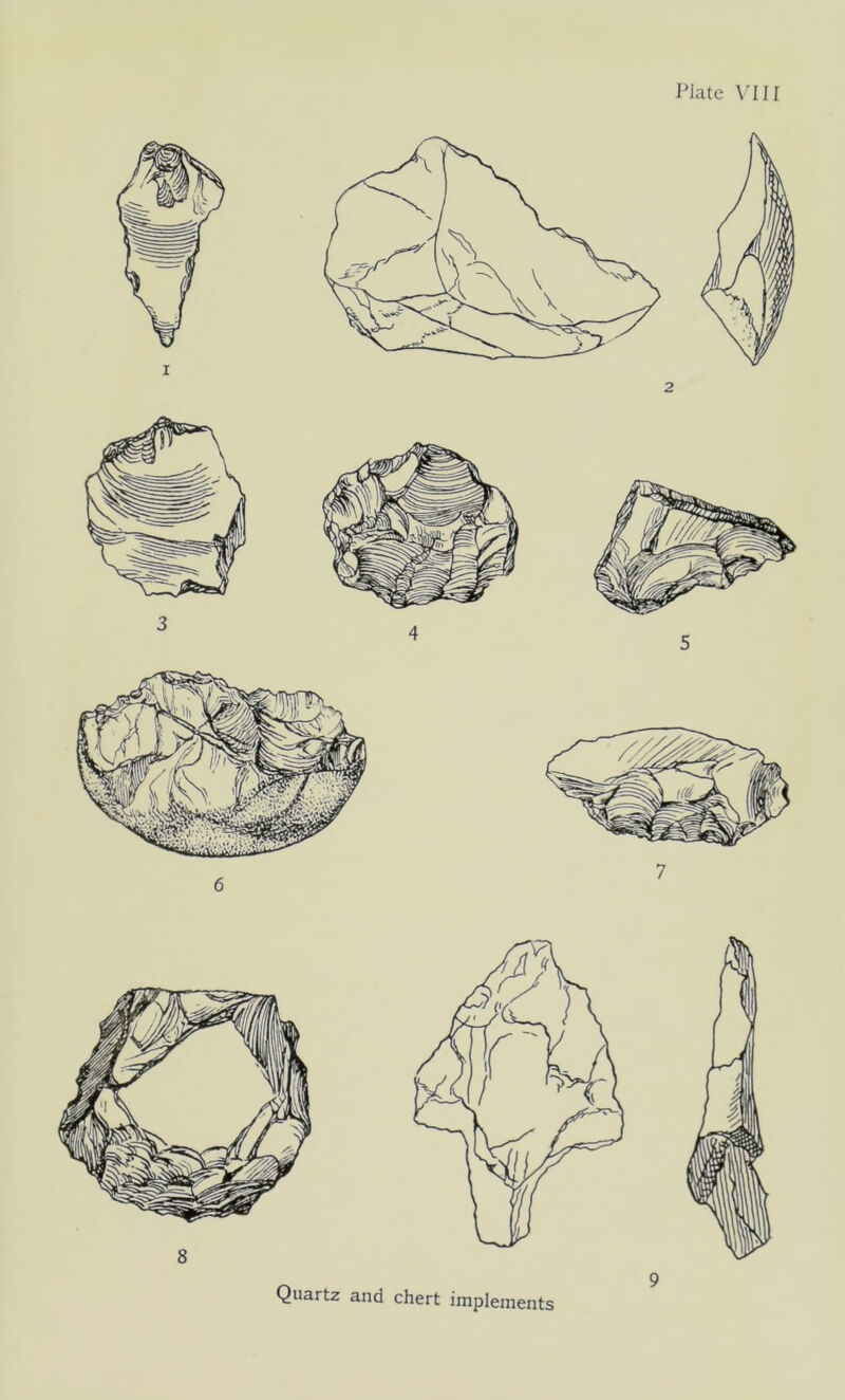 Plate VIII