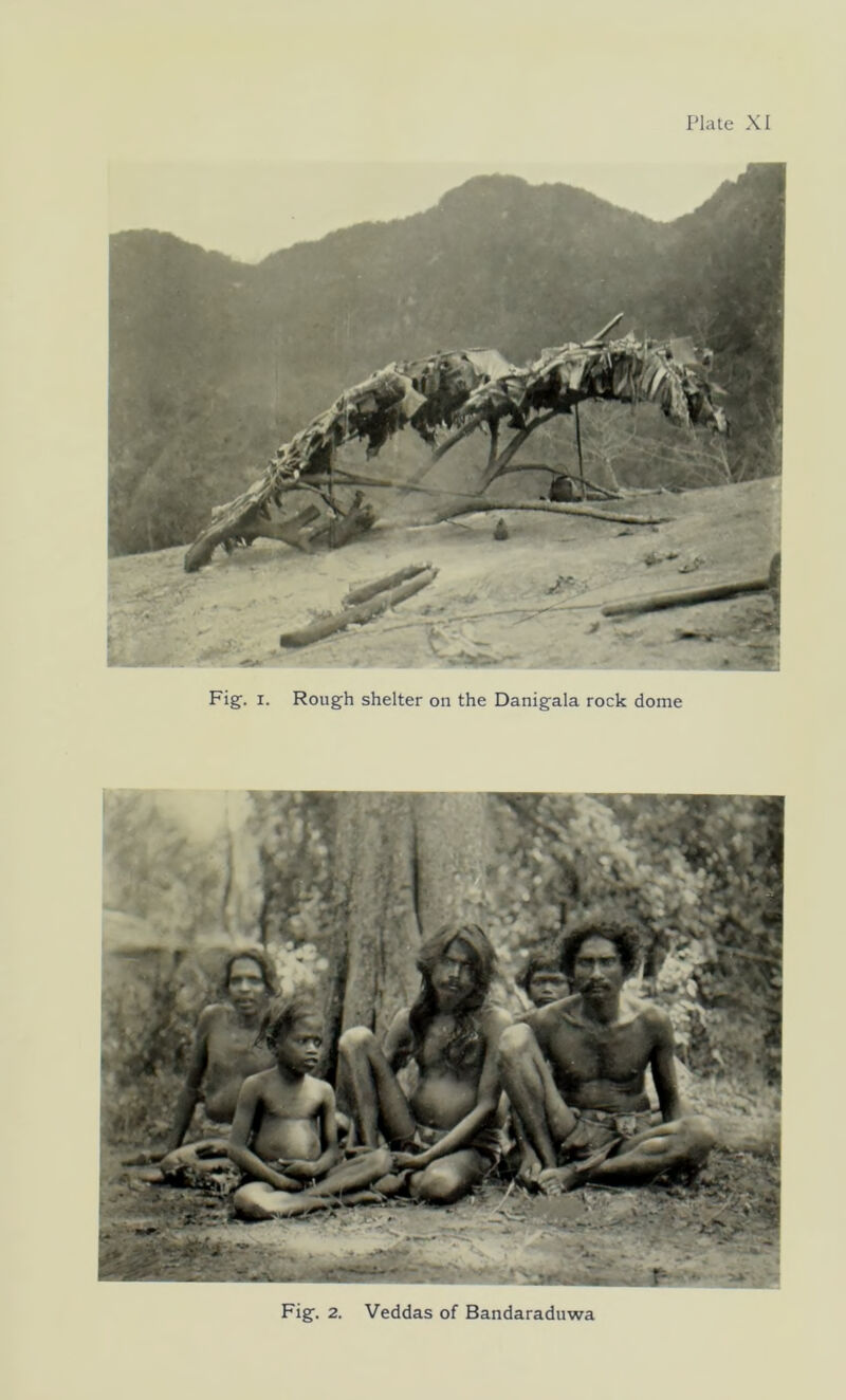 Fig. i. Rough shelter on the Danigala rock dome Fig. 2. Veddas of Bandaraduwa