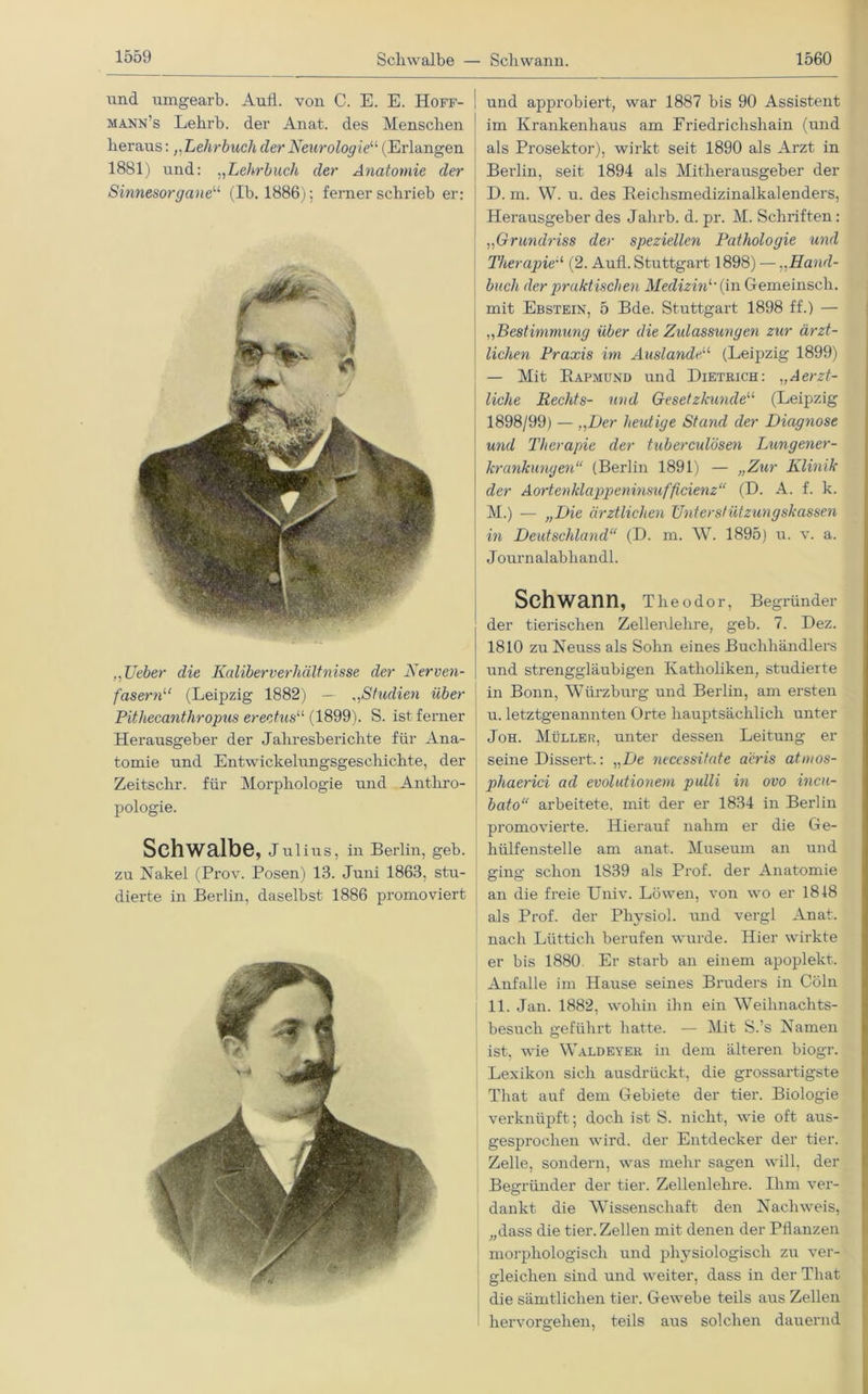 nnd umgearb. Aufl. von C. E. E. Hoff- mann’s Lehrb. der Anat. des Menschen heraus:,,Lehrbuch der Neurologie“ (Erlangen 1881) und: „Lehrbuch der Anatomie der Sinnesorgane“ (Ib. 1886); ferner schrieb er: „lieber die Kaliberverhältnisse der Nerven- fasernu (Leipzig 1882) — ,,Studien über Pithecanthropus erectus11 (1899). S. ist ferner Herausgeber der Jahresberichte für Ana- tomie und Entwickelungsgeschichte, der Zeitschr. für Morphologie und Anthro- pologie. Schwalbe, Jui ius, in Berlin, geb. zu Nakel (Prov. Posen) 13. Juni 1863, stu- dierte in Berlin, daselbst 1886 promoviert ii und approbiert, war 1887 bis 90 Assistent im Krankenhaus am Eriedrichshain (und als Prosektor), wirkt seit 1890 als Arzt in Berlin, seit 1894 als Mitherausgeber der D. m. W. u. des Beichsmedizinalkalenders, Herausgeber des Jahrb. d. pr. M. Schriften: „Grundriss der speziellen Pathologie und Therapieu (2. Aufl. Stuttgart 1898) —.,Hand- buch der praktischen Medizinal in Gemeinscli. mit Ebstein, 5 Bde. Stuttgart 1898 ff.) — ,,Bestimmung über die Zulassungen zur ärzt- lichen Praxis im Auslande“ (Leipzig 1899) — Mit Bapmund und Dietrich: „Aerzt- liehe Rechts- und Gesetzkundeu (Leipzig 1898/99) — „Der heutige Stand der Diagnose und Therapie der tuberculösen Lungener- krankungen“ (Berlin 1891) — „Zur Klinik der Aortenklappeninsufficienz“ (D. A. f. k. M.) — „Die ärztlichen Unterstützungskassen in Deutschland“ (D. m. W. 1895) u. v. a. Journalabhandl. Schwann, Theodor, Begründer der tierischen Zellenlehre, geb. 7. Dez. 1810 zu Neuss als Sohn eines Buchhändlers und strenggläubigen Katholiken, studierte in Bonn, Würzburg und Berlin, am ersten u. letztgenannten Orte hauptsächlich unter Joh. Müller, unter dessen Leitung er seine Dissert.: „De necessifate a'eris atmos- phaerici ad evolutionern pulli in ovo incu- bato“ arbeitete, mit der er 1834 in Berlin promovierte. Hierauf nahm er die Ge- hülfenstelle am anat. Museum an und ging schon 1839 als Prof, der Anatomie an die freie Univ. Löwen, von wo er 1848 als Prof, der Physiol. und vergl Anat. nach Lüttich berufen wurde. Hier wirkte er bis 1880. Er starb an einem apoplekt. Anfalle im Hause seines Bruders in Cöln 11. Jan. 1882, wohin ihn ein Weihnachts- besuch geführt hatte. — Mit S.’s Namen ist, wie Waldeyer in dem älteren biogr. Lexikon sich ausdrückt, die grossartigste That auf dem Gebiete der tier. Biologie verknüpft; doch ist S. nicht, wie oft aus- gesprochen wird, der Entdecker der tier. Zelle, sondern, was mehr sagen will, der Begründer der tier. Zellenlehre. Ihm ver- dankt die Wissenschaft den Nachweis, „dass die tier. Zellen mit denen der Pflanzen morphologisch und physiologisch zu ver- j gleichen sind und weiter, dass in der That die sämtlichen tier. Gewebe teils aus Zellen hervorgehen, teils aus solchen dauernd