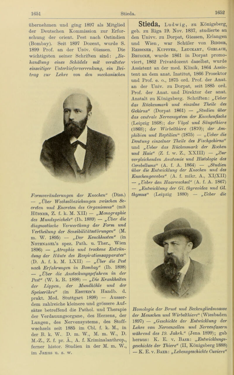 1652 übernehmen und ging 1897 als Mitglied der Deutschen Kommission zur Erfor- schung der Orient. Pest nach Ostindien (Bombay). Seit 1897 Dozent, wurde S. 1899 Prof, an der Uriiv. Giessen. Die wichtigsten seiner Schriften sind: „Be- handlung eines Schädels mit veralteter einseitiger Unterkieferverrenkung, ein Bei- trag zur Lehre von den mechanischen Formverändenmgen der Knochen“ (Diss.) — „ Über Wechselbeziehungen zivischen Se- creten und Encreten des Organismus“ (mit Hübner, Z. f. k. M. XII) — „Monographie des Mundspeichels“ (Ib. 1889) — „Über die diagnostische Verwerthung der Form und Vertheilung der Sensibilitätsstörungen“ (M. m. W. 1895) — „Der Keuchhusten“ (in Nothnagel’s spez. Path. u. Ther., Wien 1896) — „Atrophie und trockene Entzün- dung der Häute des Respirationsapparatesu (D. A. f. k. M. LXH) — „Über die Pest nach Erfahrungen in Bombay“ (Ib. 1898) — „Über die Ansteckungsgefahren in der Pest“ (W. k. R. 1898) — „Die Krankheiten der Lippen, der Mundhöhle und der Speiseröhre“ (in Ebstein’s Handb. d. prakt. Med. Stuttgart 1898) — Ausser- dem zahlreiche kleinere und grössere Auf- sätze betreffend die Pathol. und Therapie der Verdauungsorgane, des Herzens, der Lungen, des Nervensystems, des Stoff- wechsels seit 1885 im Cbl. f. k. M., in der B. k. W.. D. m. W., XI. m. W., D. M.-Z., Z. f. pr. Ä., A. f. Kriminalanthrop., ferner histor. Studien in der M. m. W., im Janus u. s. w. Stieda, Ludwig, zu Königsberg^ geb. zu Riga 19. Nov. 1837, studierte an den Uniw. zu Dorpat, Giessen, Erlangen und Wien, war Schüler von Bidder, Reissner, Kupffer, Leuckart, Gerl ach, Bruecke, wurde 1861 in Dorpat promo- viert, 1862 Privatdozent daselbst, wurde Assistent an der med. Klinik, 1864 Assis- tent an dem anat. Institut, 1866 Prosektor und Prof. e. o., 1875 ord. Prof, der Anat. an der Univ. zu Dorpat, seit 1885 ord. Prof, der Anat. und Direktor der anat. Anstalt zu Königsberg. Schriften: „Ueber das Rückenmark und einzelne Theile des Gehirns“ (Dorpat 1861) — „Studien über das centrale Nervensystem der Knochenfische (Leipzig 1868); der Vögel und Säugethiere (1868); der Wirbeltläere (1870); der Am- phibien und Reptilien“ (1875) — „ Ueber die Deutung einzelner Theile des Fischgehirns“ und „ Ueber das Rückenmark der Rochen und Haie“ (Z f. w. Z., XXIH) — „Zur vergleichenden Anatomie und Histologie des Cerebellumsu (A. f. A. 1864) — „Studien über die Entwicklung der Knochen und des Knochengewebes“ (A. f. mikr. A., XI/XH) — „Ueber den Haanvechsel“ (A. f. A. 1867) — „Entwicklung der Gl. thyreoidea und Gl. thymusu (Leipzig 1880) — „ Ueber die Homologie der Brust und Beckengliedmaasse der Menschen und Wirbelthiereu (Wiesbaden 1897) — „Geschichte der Entwicklung der Lehre von Nervenzellen und Nervenfasern während des 19. Jahrli.“ (Jena 1899); gab heraus: K. E. v. Baer: „Entwicklungs- geschichte der Thiere“ (H, Königsberg 1888) — K. E. v. Baer: „Lebensgeschickte Cuviers“
