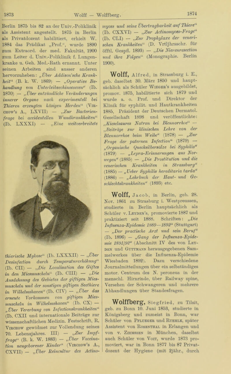 1874 Berlin 1875 bis 82 an der Univ.-Poliklinik als Assistent angestellt. 1875 in Berlin als Privatdozent habilitiert, erhielt W. 1884 das Prädikat „Prof., wurde 1890 zum Extraord. der med. Fakultät, 1900 zum Leiter d. Univ.-Poliklinik f. Lungen- kranke u. Geh. Med.-Rath ernannt. Unter seinen Arbeiten sind ausser anderen hervorzuheben: „ Über Addison’sehe Krank- heit“ (B. k. W. 1869) — „Operative Be- handlung von Unterleibsechinococcen“ (Ib. 1870) — „Über entzündliche Veränderungen innerer Organe nach experimentell bei Thieren erzeugten käsigen Herden11 (Vir- chow’s A., LXVII) — „Zur Bacterien- frage bei accidenteilen Wundkrankheiten11 (Ib. LXXXI) — „Eine weitverbreitete thierische Mykose“ (Ib. LXXXII) — „Über Desinfecüon durch Temperaturerhöhung“ (Ib. CII) — „Die Localisation des Giftes in den Miesmuscheln“ (Ib. CIII) — „Die Ausdehnung des Gebietes der giftigen Mies- muscheln und der sonstigen giftigen Seethiere in Wilhelmshaven“ (Ib. CIV) — „Über das erneute Vorkommen von giftigen Mies- muscheln in Wilhelmshaven“ (Ib. CX) — „Über Vererbung von Infectionskrankheiten“ (Ib. CXII und internationale Beiträge zur wissenschaftlichen Medizin. Festschrift, R. Virchow gewidmet zur Vollendung seines 70. Lebensjahres. III) — „Zur Impf- frage“ (B. k. VV. 1883) — „Iber Vaccina- tion neugeborener Kinder“ O iRCiiow s A., CXVII) — „Über Reincultur des Actino- myces und seine Übertragbarkeit auf Thiere“ (Ib. CXXVI) — „Zur Actinomyces-Frage“ (Ib. CLI) — „Zur Prophylaxe der veneri- schen Krankheiten“ (D. Vrtljhrsschr. für öfftl. Gespfl. 1893) — „Die Nierenresection und ihre Folgen“ (Monographie. Berlin 1900). Wolff, Alfred, in Strassburg i. E., geb. daselbst 30. März 1850 und haupt- sächlich als Schüler Wieger’s ausgebildet, promov. 1875, habilitierte sich 1879 und wurde a. o. Prof, und Direktor der Klinik für syphilit. und Hautkrankheiten 1885, Präsident der Deutschen Dermatol. Gesellschaft 1898 und veröffentlichte: ,,Kieselsaures Natron bei Blennorrhoe“ — „Beiträge zur klinischen Lehre von der Blennorrhoe beim Weibe“ (1878) — „Zur Frage der paternen Infection“ (1879) — „Organische Quecksilbersalze bei Syphilis“ (1879) — „Lepra-Erinnerungen aus Nor- wegen“ (1885) — „Die Prostitution und die venerischen Krankheiten in Strassburg“ (1885) — „ Ueber Syphilis hereditaria tarda“ (1886) — „Lehrbuch der Haut- und Ge- schlechtskrankheiten“ (1893) etc. Wolff, Jacob, in Berlin, geb. 28. Xov. 1861 zu Strasbiu-g i. Westpreussen, studierte in Berlin hauptsächlich als Schüler v. Leyden’s, promovierte 1887 und praktiziert seit 1888. Schriften: „Die Influenza-Epidemie 1S89—1892“ (Stuttgart) — „Der practische Arzt und sein Beruf“ (Ib. 1896) — „Gang der Influenza-Epide- mie 1891192“ (Abschnitt IV des von Ley- den und Guttmann herausgegebenen Sam- melwerkes über die Influenza-Epidemie Wiesbaden 1892). Dazu verschiedene Journalmitteilungen über ein selbständiges motor. Centrum des N. peroneus in der menschl. Hirnrinde, über Railway spine, Versehen der Schwangeren und mehrere Abhandlungen über Standesfragen. Wolffberg, Siegfried, zu Tilsit, geb. zu Bonn 10. Juni 1853, studierte in Königsberg und zumeist in Bonn, war Schüler von Pflueger und Rüehle. später Assistent von Rosenthal in Erlangen und von v. Ziemssen in München, daselbst auch Schüler von Voit, wurde 1873 pro- moviert, war in Bonn 1877 bis 87 Privat- dozent der Hygiene (mit 2jähr., durch