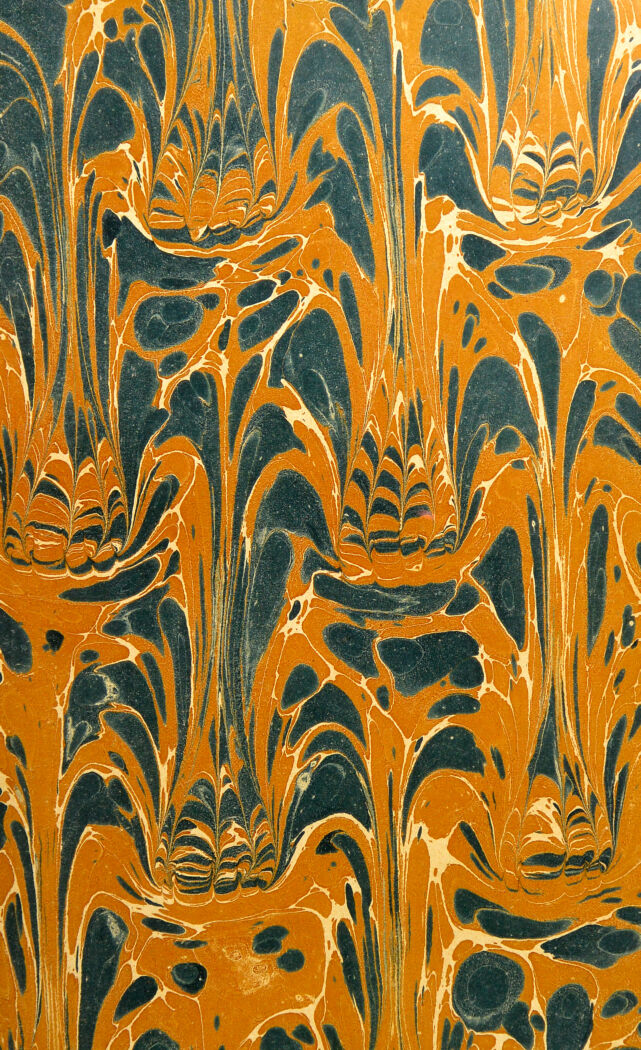 No text description is available for this image