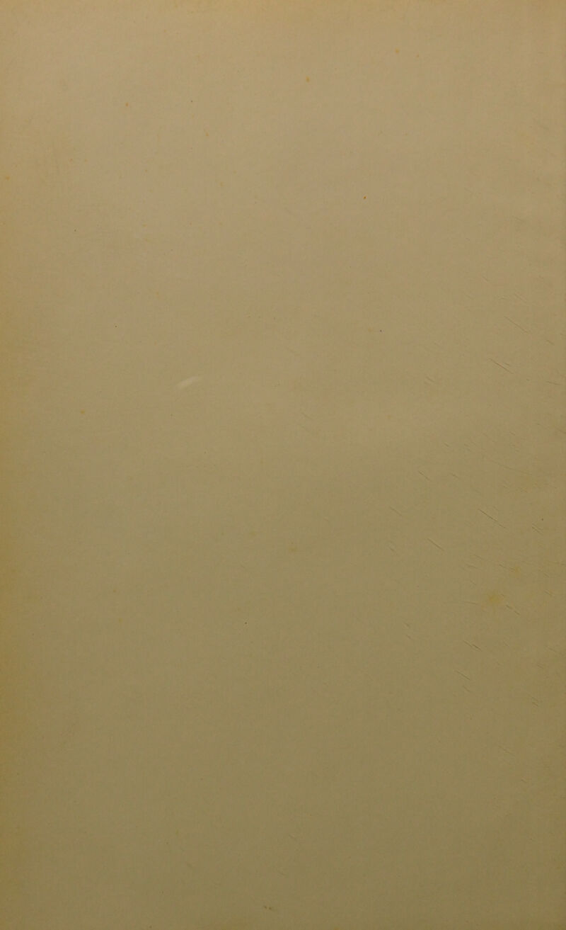 V ipfv k. \s ^N. \ - ■ ■■'''i- ■ ■' v:' „.r ■■