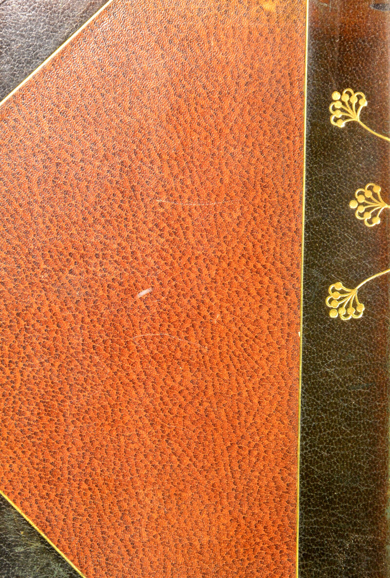 ^mm A • 'o-/^:*. -i^T»