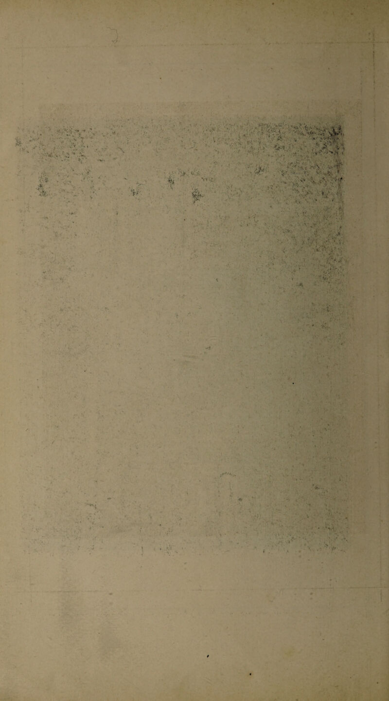 4 Г Я . ♦- к і ^ •, к Ч.*'' 'Ш. '* - * •• . . і' > ,'' / ; - • > _' /. і'** Ь* ■ . * * ,*, * г чг’’* ^ - ■ V “'ііг *С-■' ''-< , ', Ѵ л.. ! ,.. ,.'ѵ- ;: *' ^ * і‘‘ ^лЧі' V-•>»’**‘Ѵг''■ .“Г • •’С^'Ѵ^Ѵ-‘Л' ■ ; Г^- Л Ѵ%і- : ;; ^:-:. • V :'- .л -: у >''■ . 'Ч'і'йѵ^ . . • ■ ,' • , •■■■.'■■'■■ ѵІЧі'г--.?'. /• , -л'.Ѵ. .і.■’'/• • і •■ ': ^ . .'^ѵ^, . р- , ■■■■■■ \. . '-^ :- л ■ ■ %«• ■♦ ■ Л ■•■^- ' ' ' .І.'''*'‘;ѵ' V ■ •:- ■*!.'-■• *' '■'.. Л;,.: ■ / . ■ ■ ■■■ і.. /..;-/Ь :’:Лі ' ' ->; ■ '•• ■' ...' ';„• ^■^#.'^•^ ■ ; '■•% .' ■ ■■ гч *. ; ./ ' '. ;'.. ■••і.'.А- ■? ;>-<.. Ч' V . .V ' '. о, ■? ■ •. '■ . : ■ ' “кі і>.7.)-- ■ А ■ ’' ■ г, ,^^■ *