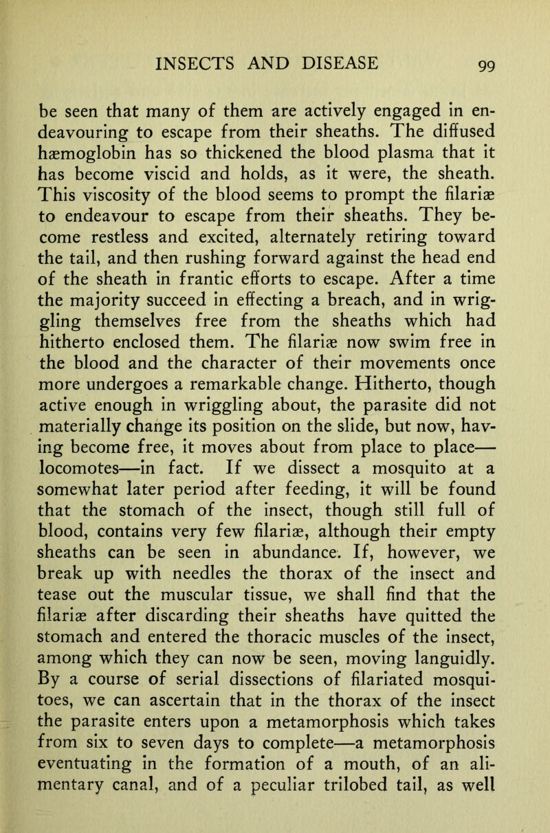 be seen that many of them are actively engaged in en- deavouring to escape from their sheaths. The diffused haemoglobin has so thickened the blood plasma that it has become viscid and holds, as it were, the sheath. This viscosity of the blood seems to prompt the filariae to endeavour to escape from their sheaths. They be- come restless and excited, alternately retiring toward the tail, and then rushing forward against the head end of the sheath in frantic efforts to escape. After a time the majority succeed in effecting a breach, and in wrig- gling themselves free from the sheaths which had hitherto enclosed them. The filariae now swim free in the blood and the character of their movements once more undergoes a remarkable change. Hitherto, though active enough in wriggling about, the parasite did not materially change its position on the slide, but now, hav- ing become free, it moves about from place to place— locomotes^—in fact. If we dissect a mosquito at a somewhat later period after feeding, it will be found that the stomach of the insect, though still full of blood, contains very few filarias, although their empty sheaths can be seen in abundance. If, however, we break up with needles the thorax of the insect and tease out the muscular tissue, we shall find that the filariae after discarding their sheaths have quitted the stomach and entered the thoracic muscles of the insect, among which they can now be seen, moving languidly. By a course of serial dissections of filariated mosqui- toes, we can ascertain that in the thorax of the insect the parasite enters upon a metamorphosis which takes from six to seven days to complete—a metamorphosis eventuating in the formation of a mouth, of an ali- mentary canal, and of a peculiar trilobed tail, as well