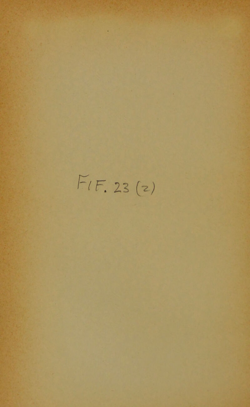 F. 2S (?)