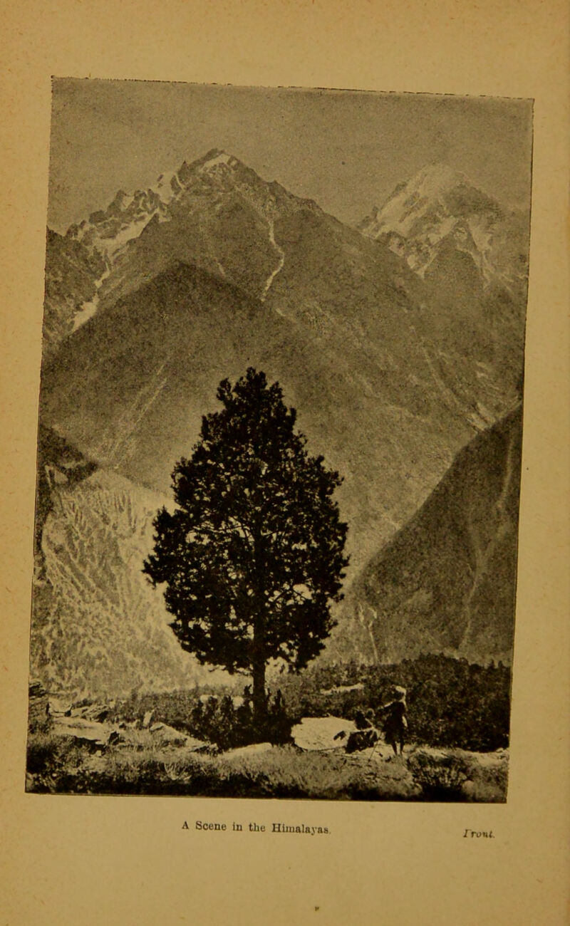 A Scene in the Himalayas Irani.