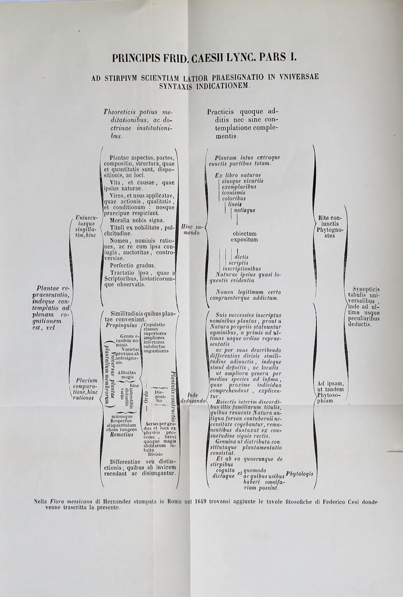 PRINC1PIS FRID. CAESII LYNC. PARS I AD STIRPIVM SCIENTIAM LATIOR PRAESIGNATIO IN VNIVERSAE SYNTAXIS INDICATIONEM. Theoreticis potius me- ditationibus, ac do- ctrinae institutioni- bus. Practicis quoque ad- ditis nec sine con- templatione comple- mentis. / Planine re- praesentatio, indeque con-1 templalio ad( plenam co- ' gnitionem est, vcl . Vniuscu- f iusque singilla- tìm,hinc Plantae aspectus, partes, compositio, slructura, quae et quantitatis sunt, dispo- [ silionis, ac loci. Vita, et causae, quae |ipsius naturae. Vires, etusus applicatae, Iquae actionis , qualitatis , jet conditionum : nosque Ipraecipue respiciunt. Moralia nobis signa. Tituli ex nobilitate, pul- Binc su- \chritudine. menda Nomen, nominis ratio- Ines, ac re cum ipsa con' liugia, auctoritas , contro- Iversiae. Perfectio gradus. Tractatio ipsa , quae a I Scriptoribus, nistoricoruni- que observatis. / Similitudinis quibus pian- ' tae conveniant. Propinquius /Copulano classes superiores ampliores inferiores subductae angustiores Genus e- —.^iusdem no- , minis - Varietas ! ^Iproximaab -.antesigna- Differentiae seu distin- ctionis; quibus ab invicem recedant ac disiungantur. Plantam intus extraque cunclis partìbus totam. Ex libro naturae I eiusque vicariis | exemplarìbus iconismis | colorìbus I lineis | I notisque obiectuni expositum | | diclis | scriplis inscriptionibus Naturae ipsius quasi lo- quenlis evidentia Nomen legitimum certo congruenterque addictum. Suis successive inscrìptas nomìnibus plantas, prout a Natura propriis statuunlur agminibus, a primis ad ul- timas usque ordine reprae- sentatis ac per suas describendo differentias divisis simili- tudine adiunctis, indeque simul definilis , ac locatis ut ampliora genera per medias species ad infima, quae proxime individua comprenendunt , explicen- tur. Jìeicctis interim discordi- bus illis fumiliarum titulis, quibus renitente Natura an- tiqua forsan contuberniine- cessitate cogebantur, rema- Inentibus duntaxat ex con- suetudine signis reclis. Genuina ut distributa con- stitutaque plantamentatio consistat. Et ab ea quaecunque de stirpibus coqnita .qv.om.odo n, , , . dictaque e ac quibus usibus hytologis haberi omnifa- riam possint. Rite con- iunctis 1 Phytogno- stes Synopticis tabulis uni- Vversalibus , /inde ad ul- I lima usque peculiaribus deductis. Ad ipsam, ut tandem Pbytoso- phiam. Nella Flora messicana di Hernandez stampata in Roma nel 1(149 trovansi aggiunte le tavole fitosofiebe di Federico Cesi donde venne trascritta la presente.