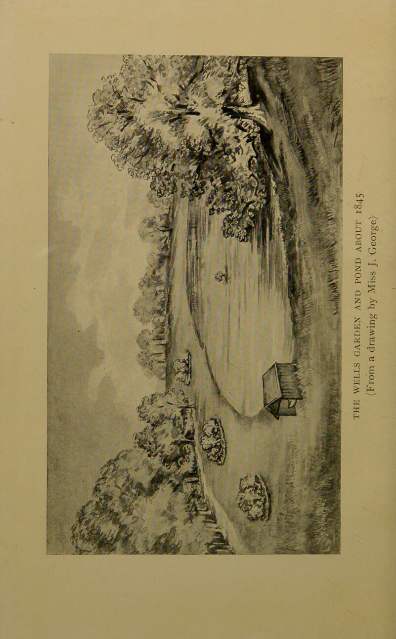 the wells garden and pond about 1845 (From a drawing by Miss J. George)