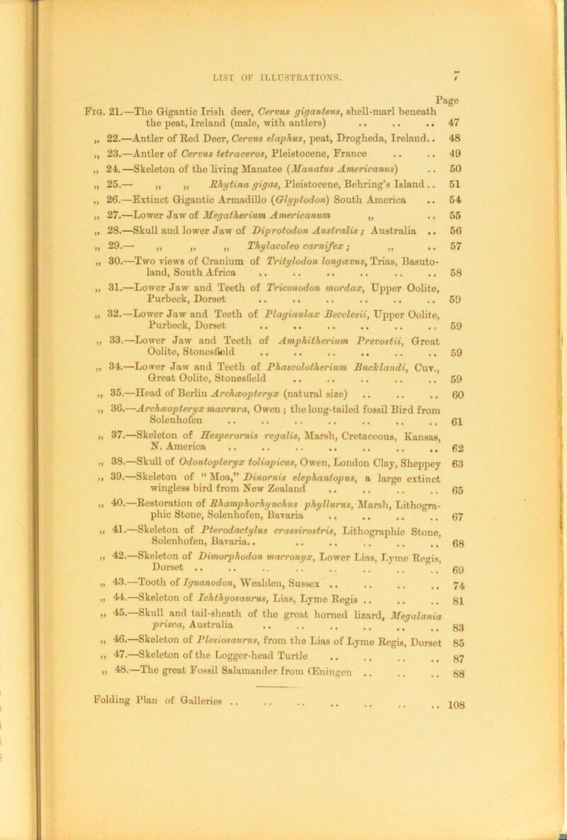 Page Fig. 21.—The G-igantic Irish deer, Cervus giganteus, shell-marl beneath the peat, Ireland (male, with antlers) .. .. .. 47 „ 22.—Antler of Red Deer, Cervus elaphus, peat, Drogheda, Ireland.. 48 „ 23.—Antler of Cervus tetraceros, Pleistocene, France .. .. 49 „ 24. —Skeleton of the living Manatee (Manatus Americanus) .. 50 „ 25.— „ „ Rhytina gigas, Pleistocene, Behring’s Island.. 51 „ 26.—Extinct Gigantic Armadillo (Glyptodon) South America .. 54 „ 27.—Lower Jaw of Megatherium Americanum „ ., 55 „ 28.—Skull and lower Jaw of Biprotodon Australis ; Australia .. 56 „ 29.— „ ,, „ Thylacoleo carnifex„ .. 57 „ 30.—Two viewrs of Cranium of Tritylodon longcevus, Trias, Basuto- land, South Africa .. .. .. .. .. .. 58 ,, 31.—Lower Jaw and Teeth of Triconodon mordax, Upper Oolite, Purbeck, Dorset .. .. .. .. .. .. 59 „ 32.—Lower Jaw and Teeth of Plagiaulax Becclesii, Upper Oolite, Purbeck, Dorset .. .. .. .. .. ., 59 „ 33.—Lower Jaw and Teeth of Amphitherium Prevostii, Great Oolite, Stoncsfield .. .. .. .. .. .. 59 ,, 34.—Lower Jaw and Teeth of Phascolotherium Bucklandi, Cuv., Great Oolite, Stonesfield .. .. .. .. .. 59 „ 35.—Head of Berlin Archceopteryx (natural size) .. .. .. 60 „ 36.—Archceopteryx macrura, Owen ; the long-tailed fossil Bird from Solenhofen .. .. .. .. .. ,. .. 61 ,, 37.—Skeleton of Hesperornis regalis, Marsh, Cretaceous, Kansas, N. America 62 „ 38.—Skull of Odontopteryx toliapicus, Owen, London Clay, Sheppey 63 „ 39.—Skeleton of “ Moa,” Binornis elephanlopus, a large extinct wingless bird from New Zealand ., .. .. .. 65 „ 40.—Restoration of Rhamphorhynchus phyllurus, Marsh, Lithogra- phic Stone, Solenhofen, Bavaria .. .. ., .. 67 >i 41.—Skeleton of Pterodactylus crassirostris, Lithographic Stone, Solenhofen, Bavaria.. .. .. .. ,. .. 68 „ 42.—Skeleton of Bimorphodon macronyx, Lower Lias, Lvme Regis Dorset .. .. .. .. .. ..  ..' 69 „ 43.—Tooth of Iguanodon, Wealden, Sussex 74 ,, 44.—Skeleton of Ichthyosaurus, Lias, Lyme Regis .. .. ,. 81 „ 45.—Skull and tail-sheath of the great horned lizard, Megalania prisca, Australia .. .. .. ,. M .. 83 „ 46.—Skeleton of Plesiosaurus, from the Lias of Lyme Regis, Dorset 85 „ 47.—Skeleton of the Logger-head Turtle .. .. .. tt §7 „ 48.—The great Fossil Salamander from GSningen .. .. .. 88 Folding Plan of Galleries .. 108